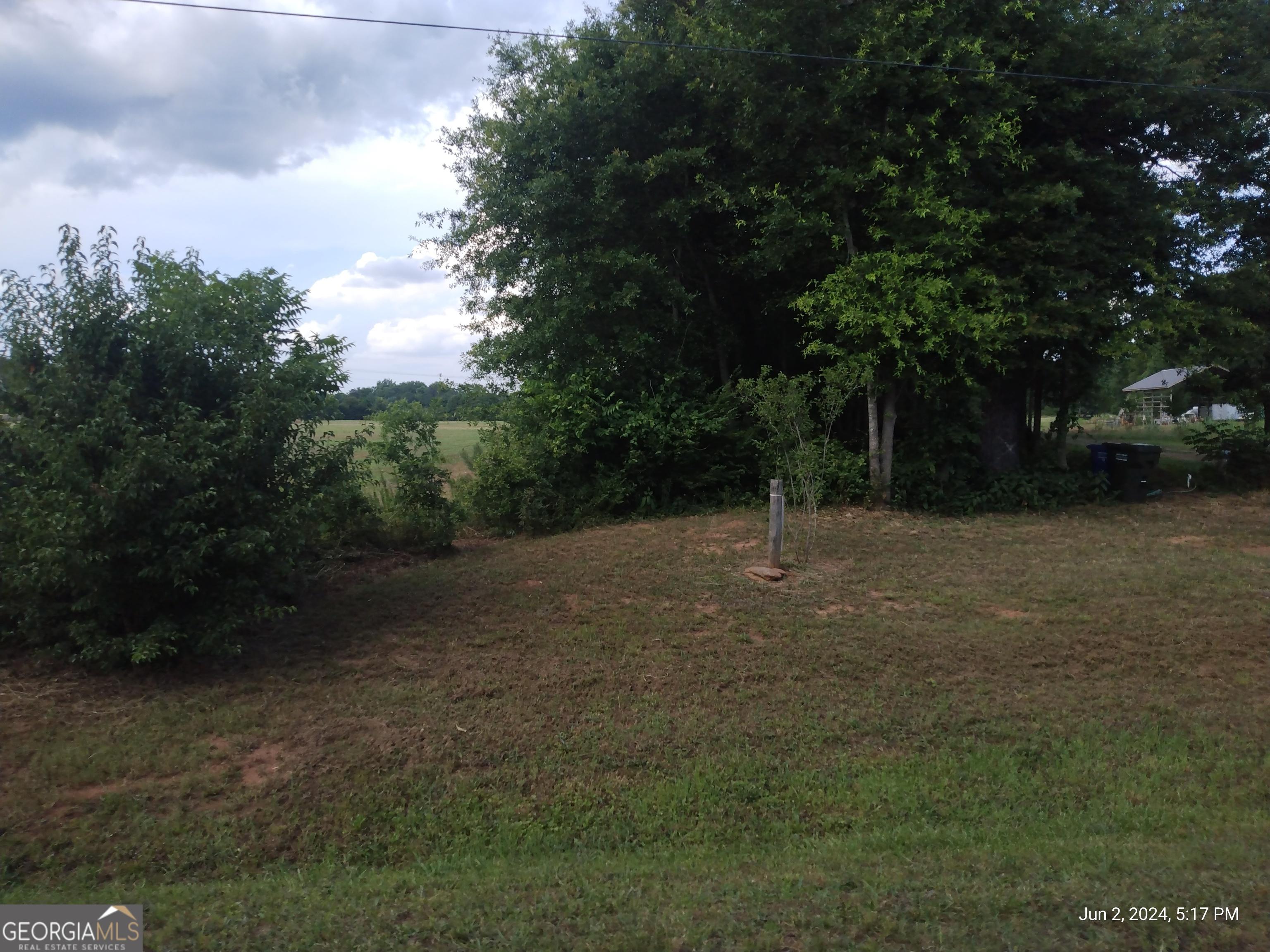 Photo #47