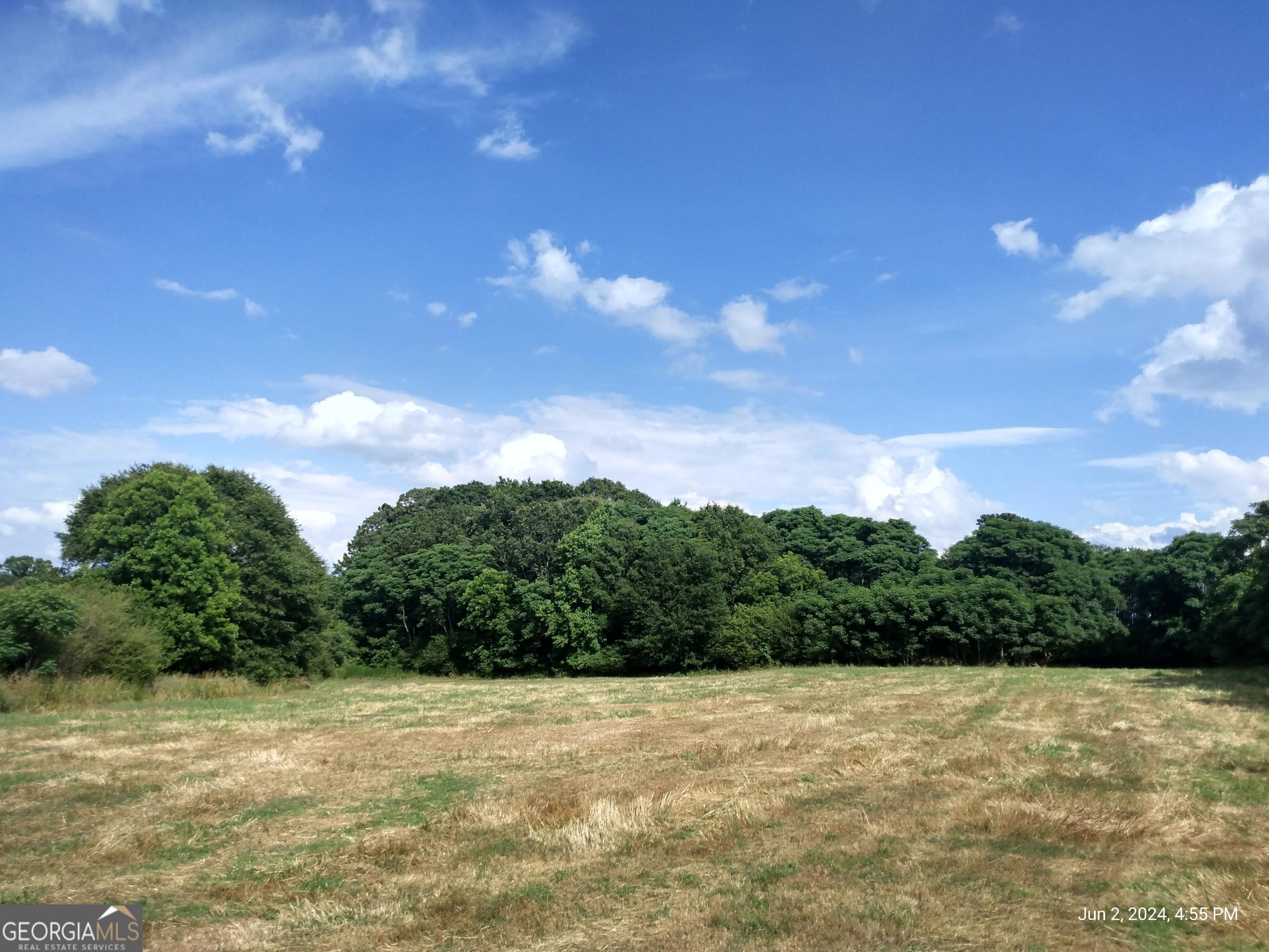 Photo #31