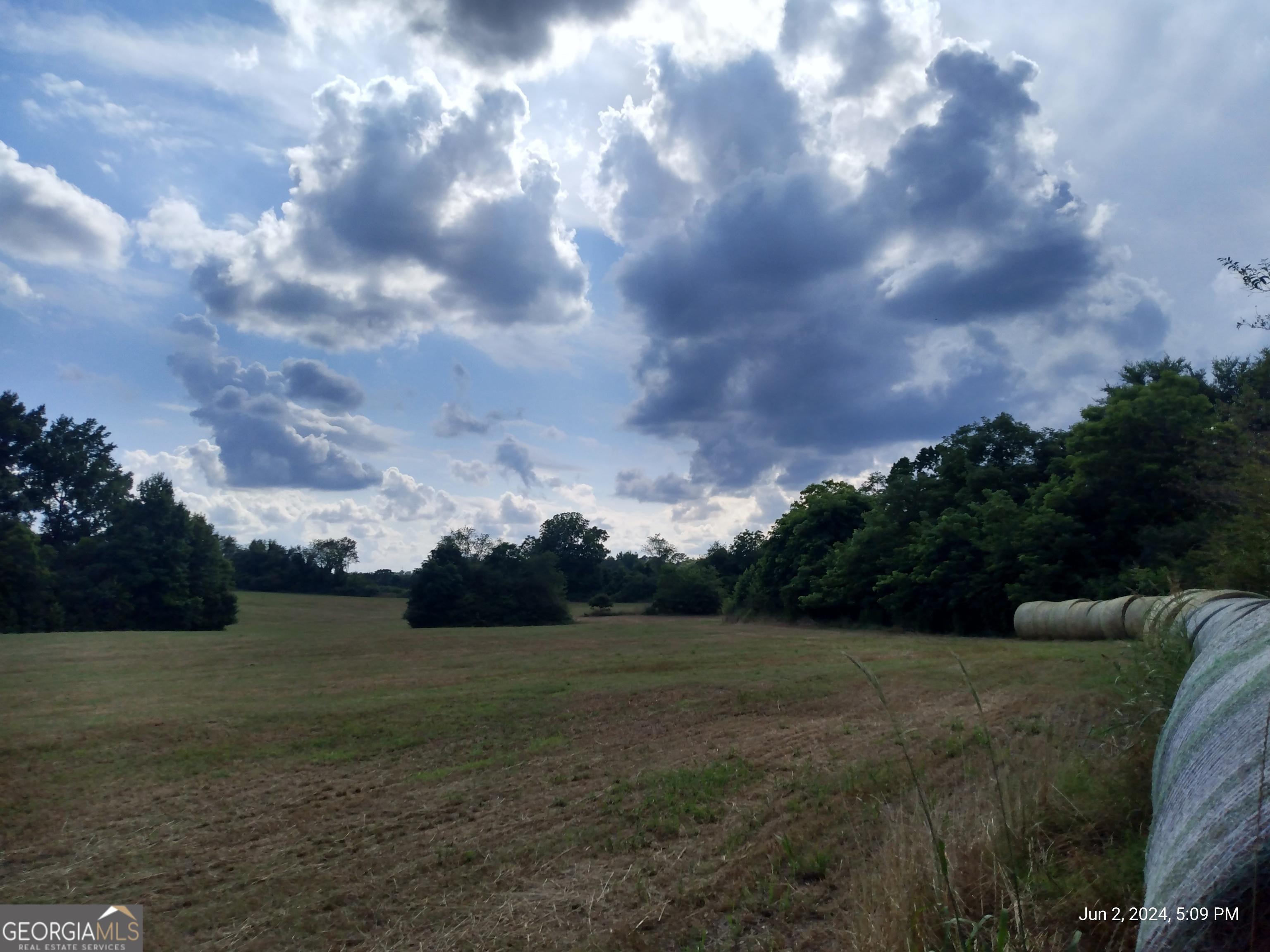 Photo #44