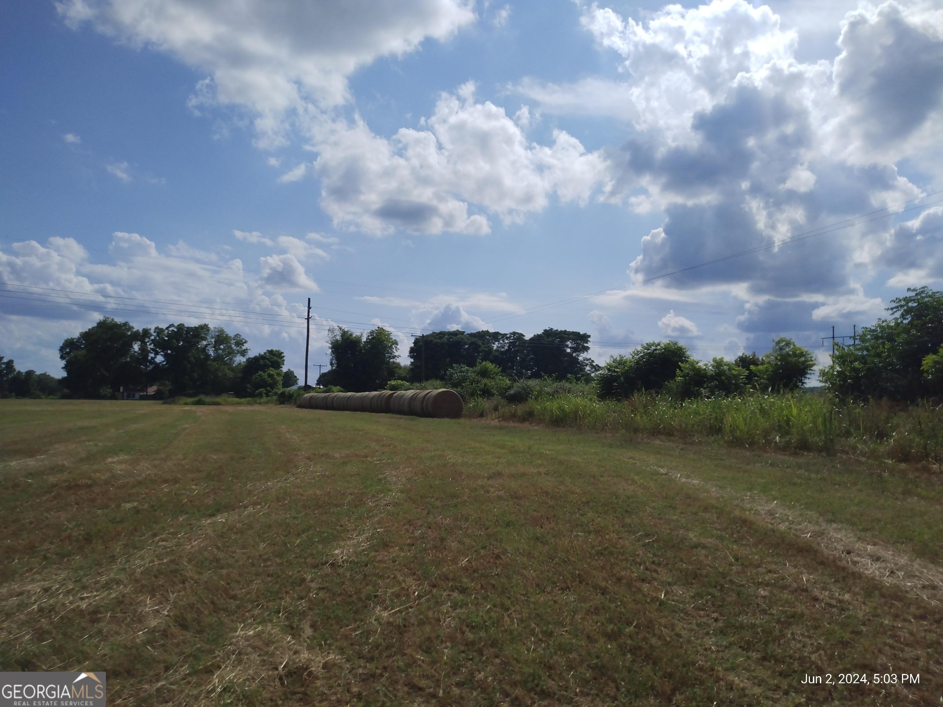Photo #43