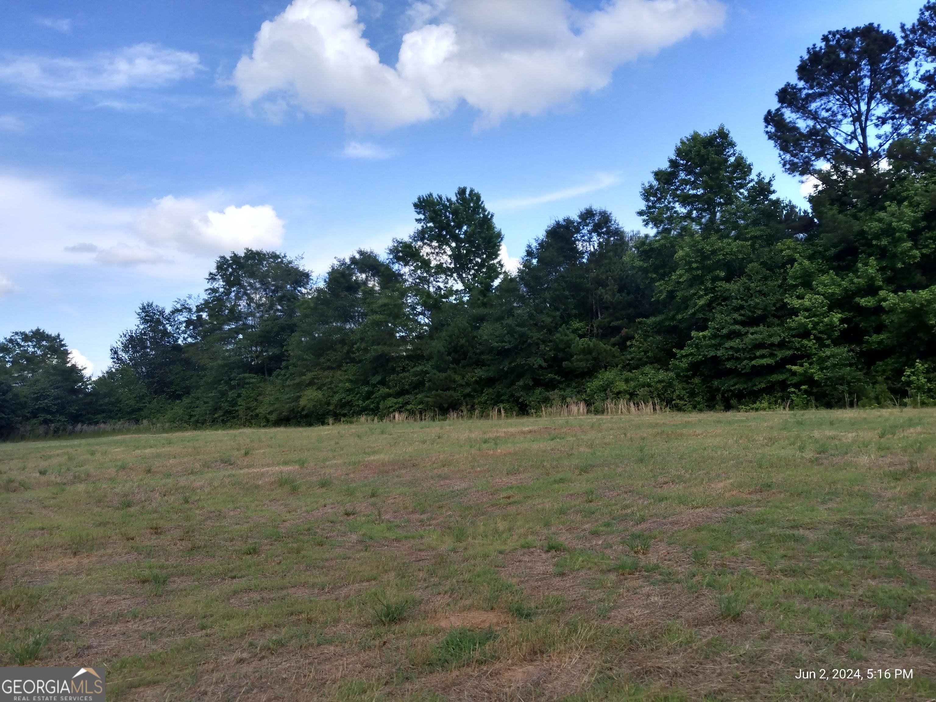 Photo #46