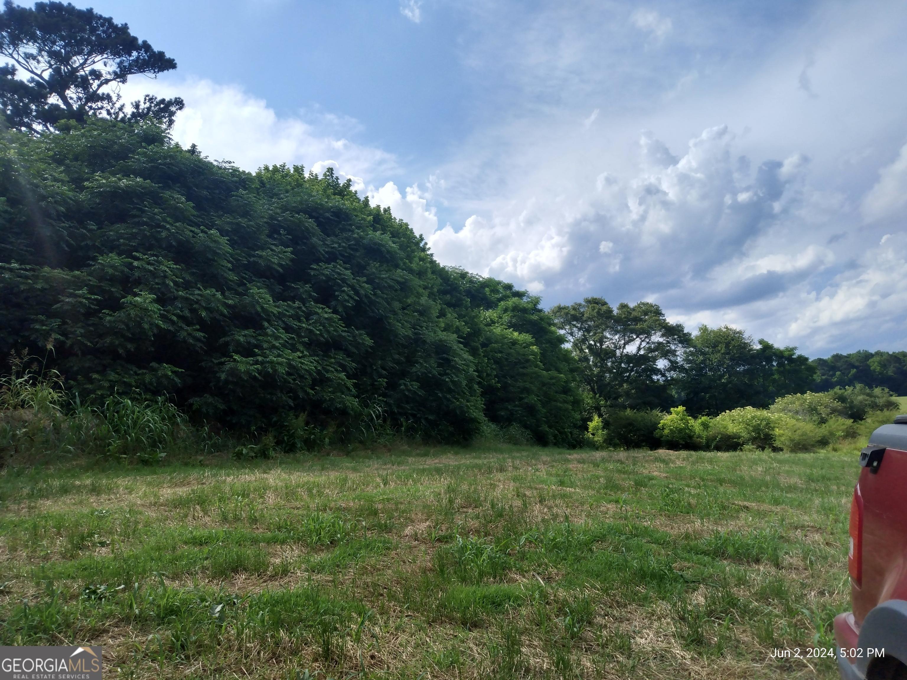 Photo #42