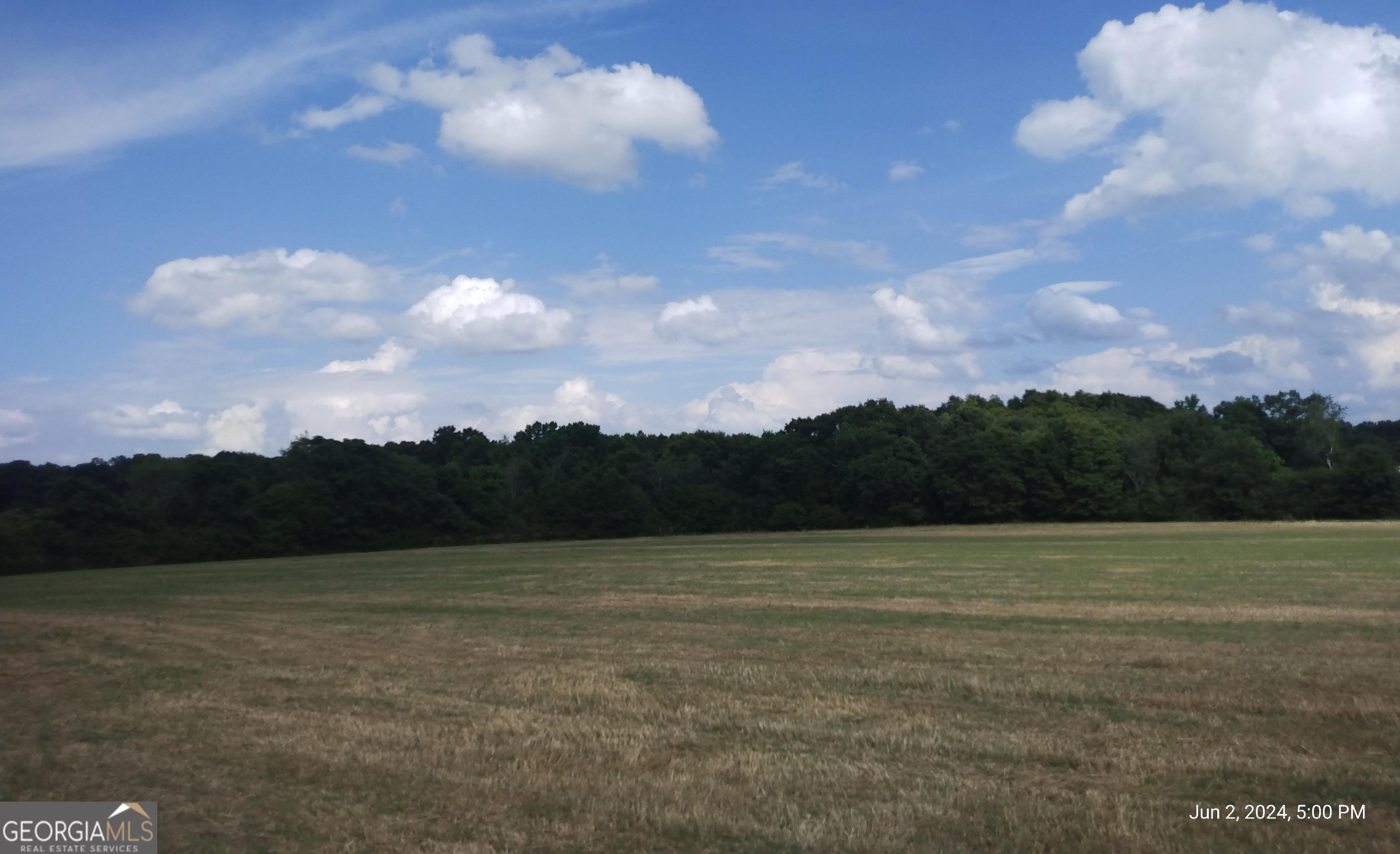 Photo #38