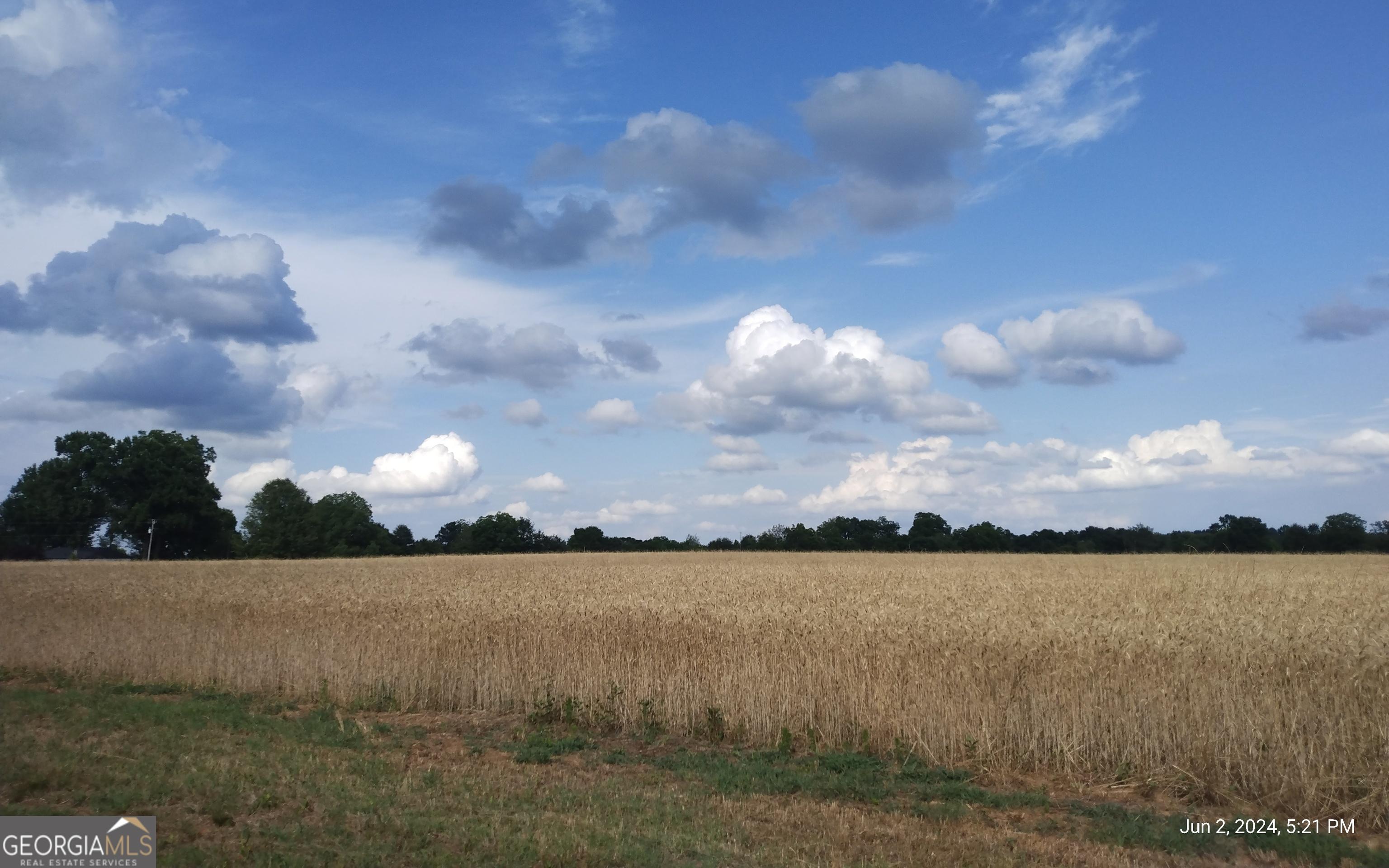 Photo #48