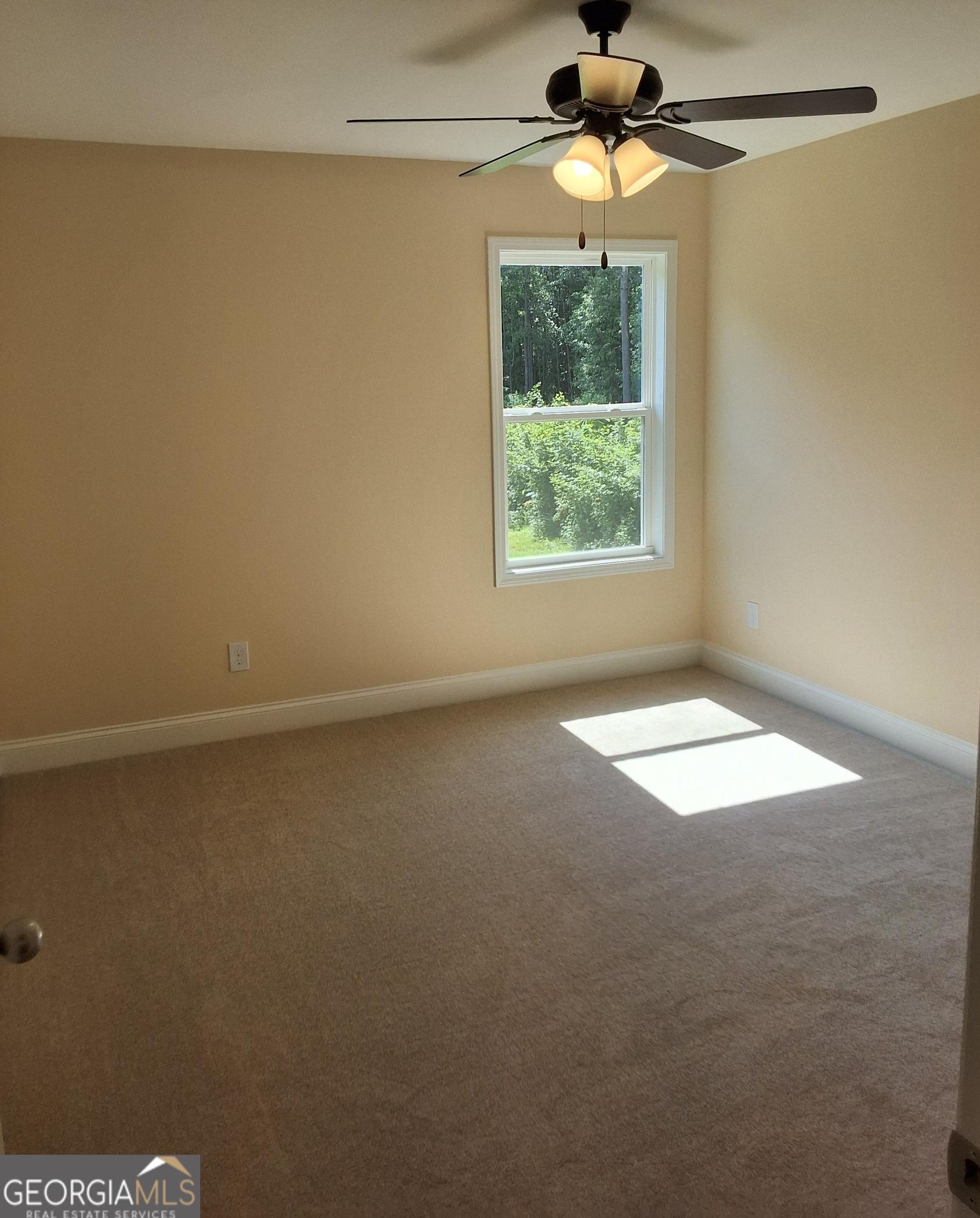 Photo #21