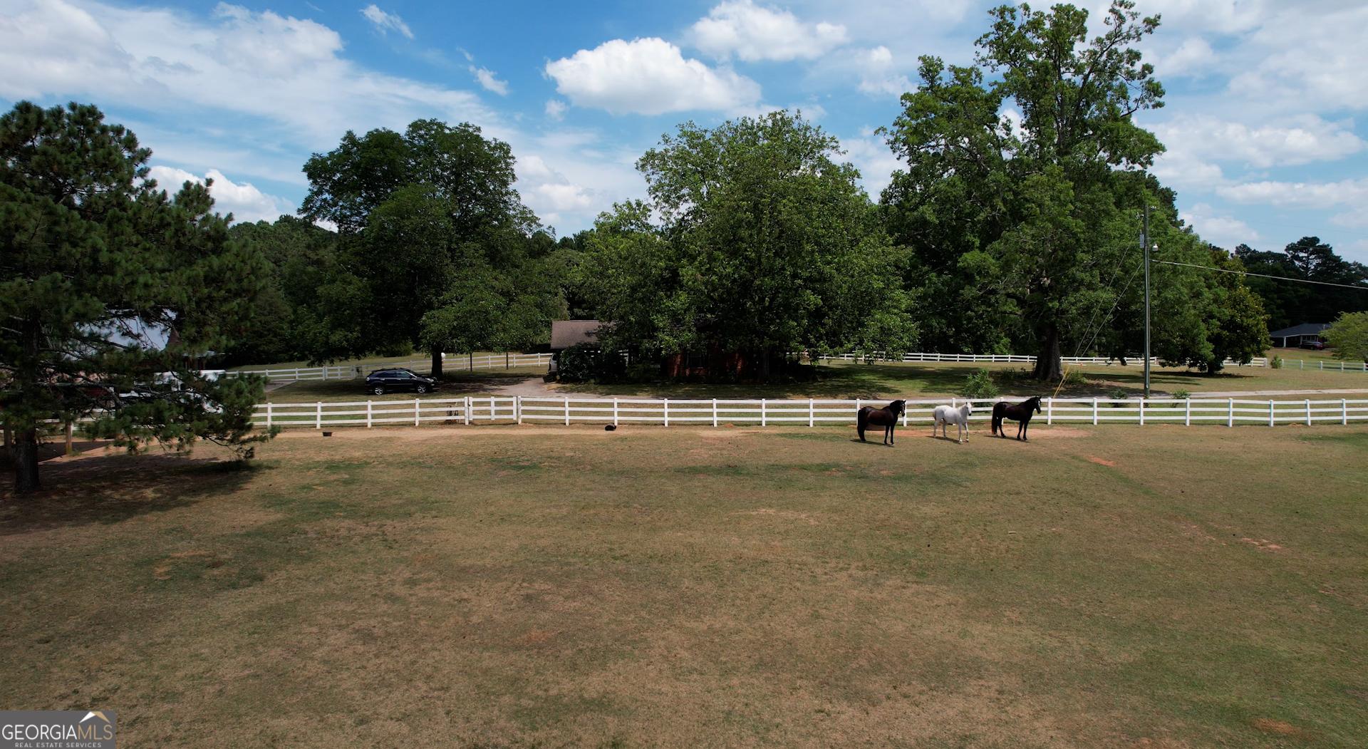 Photo #47