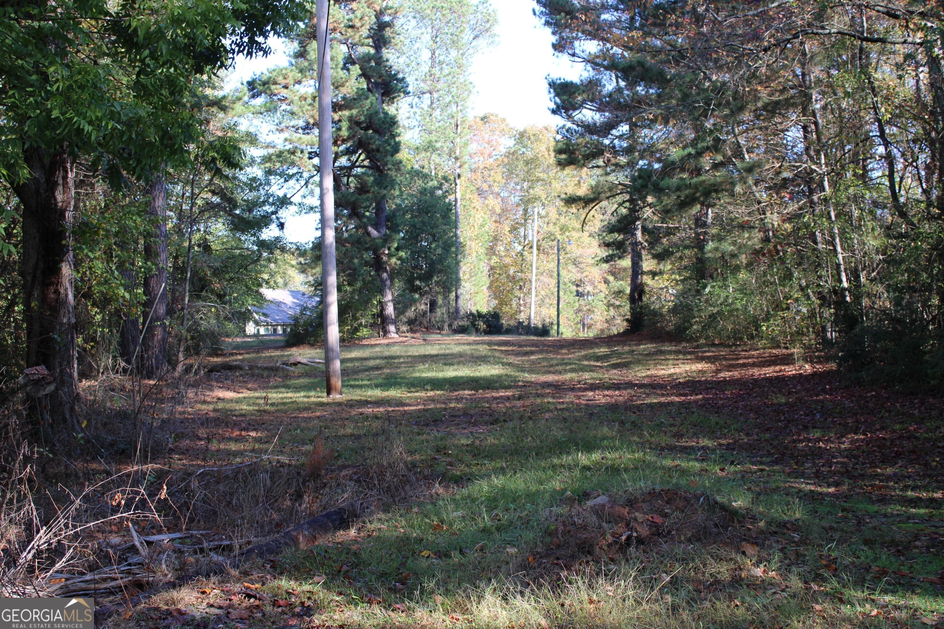 Photo #7