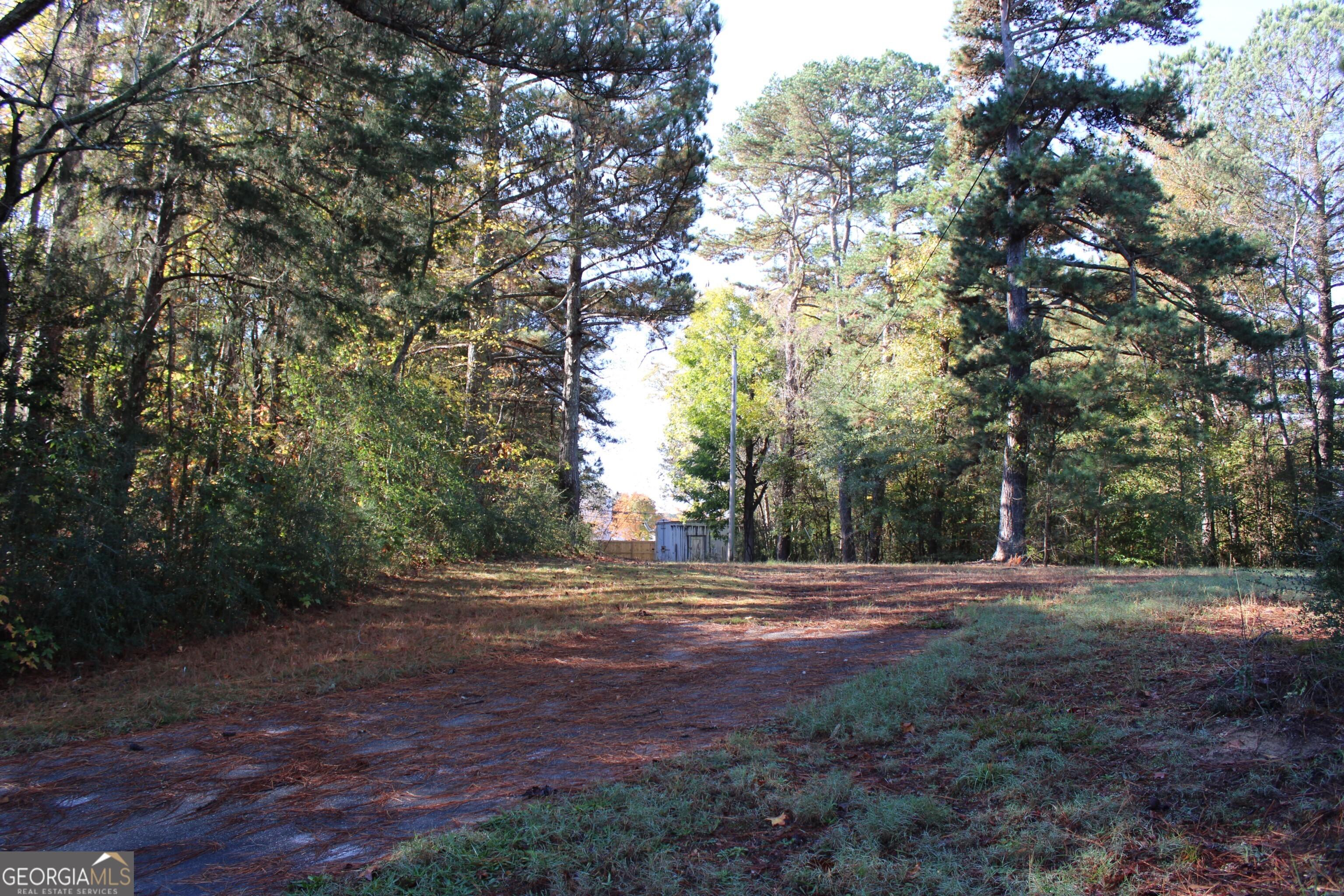 Photo #11