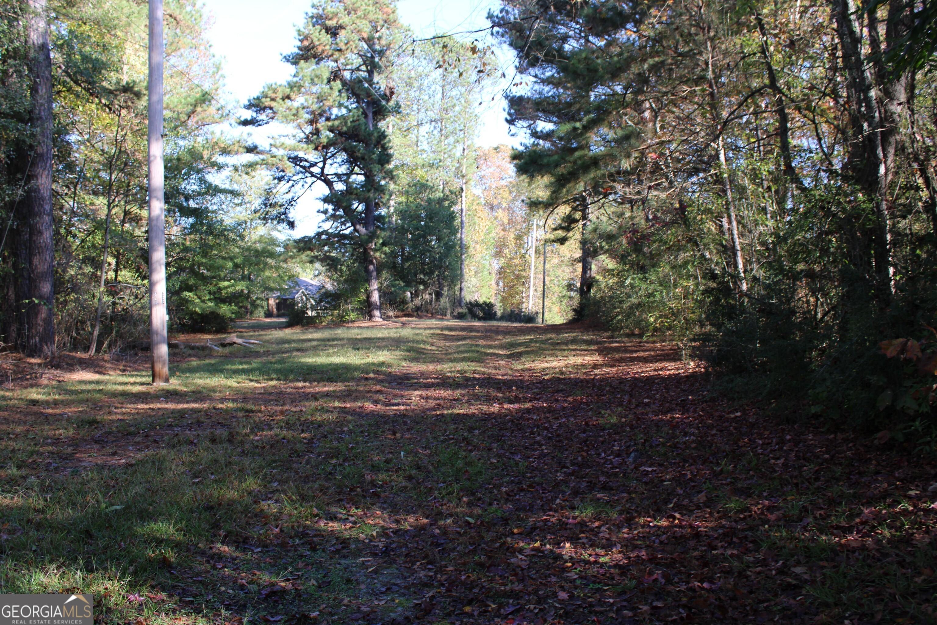 Photo #8