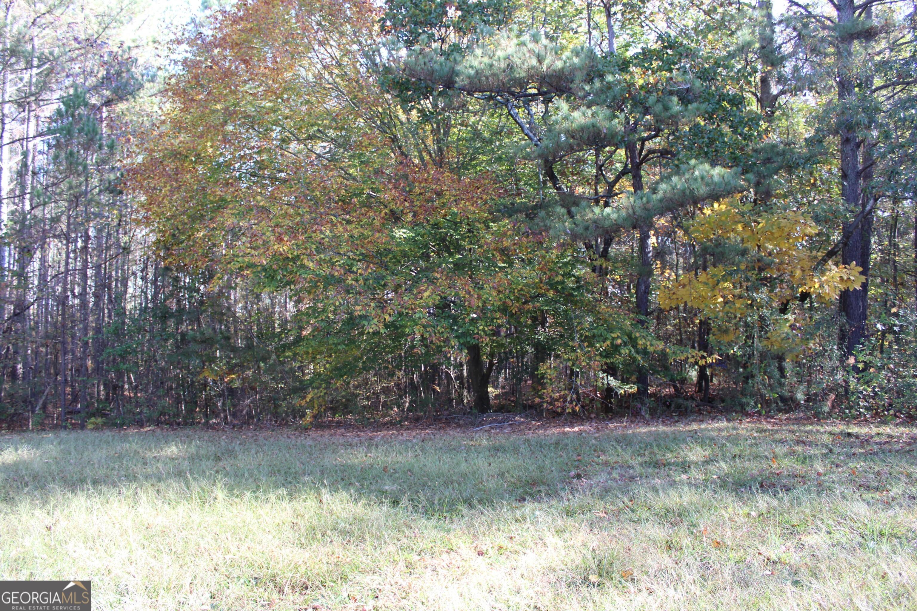Photo #10