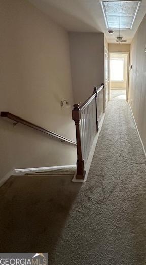 Photo #13