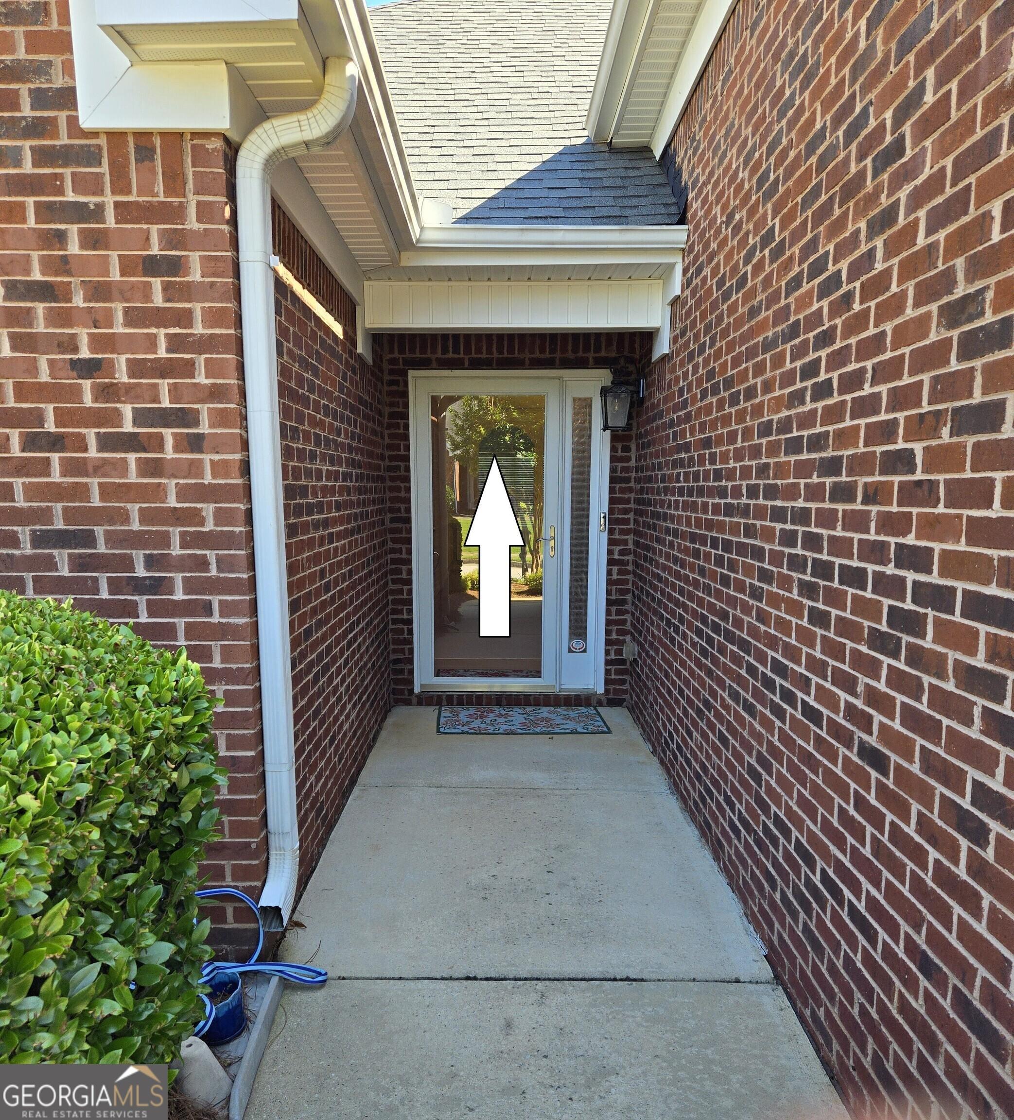 Photo #4
