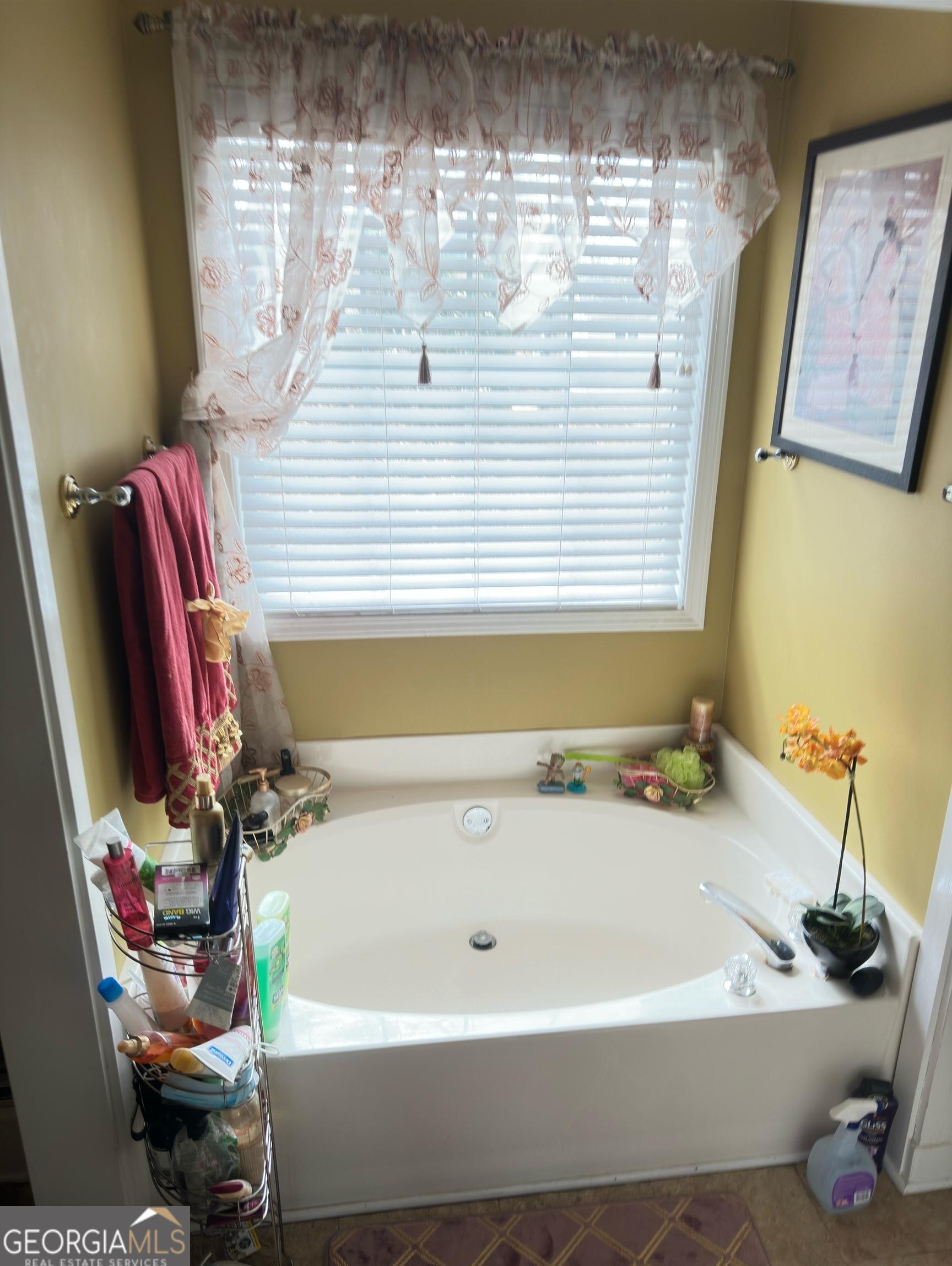 Photo #15