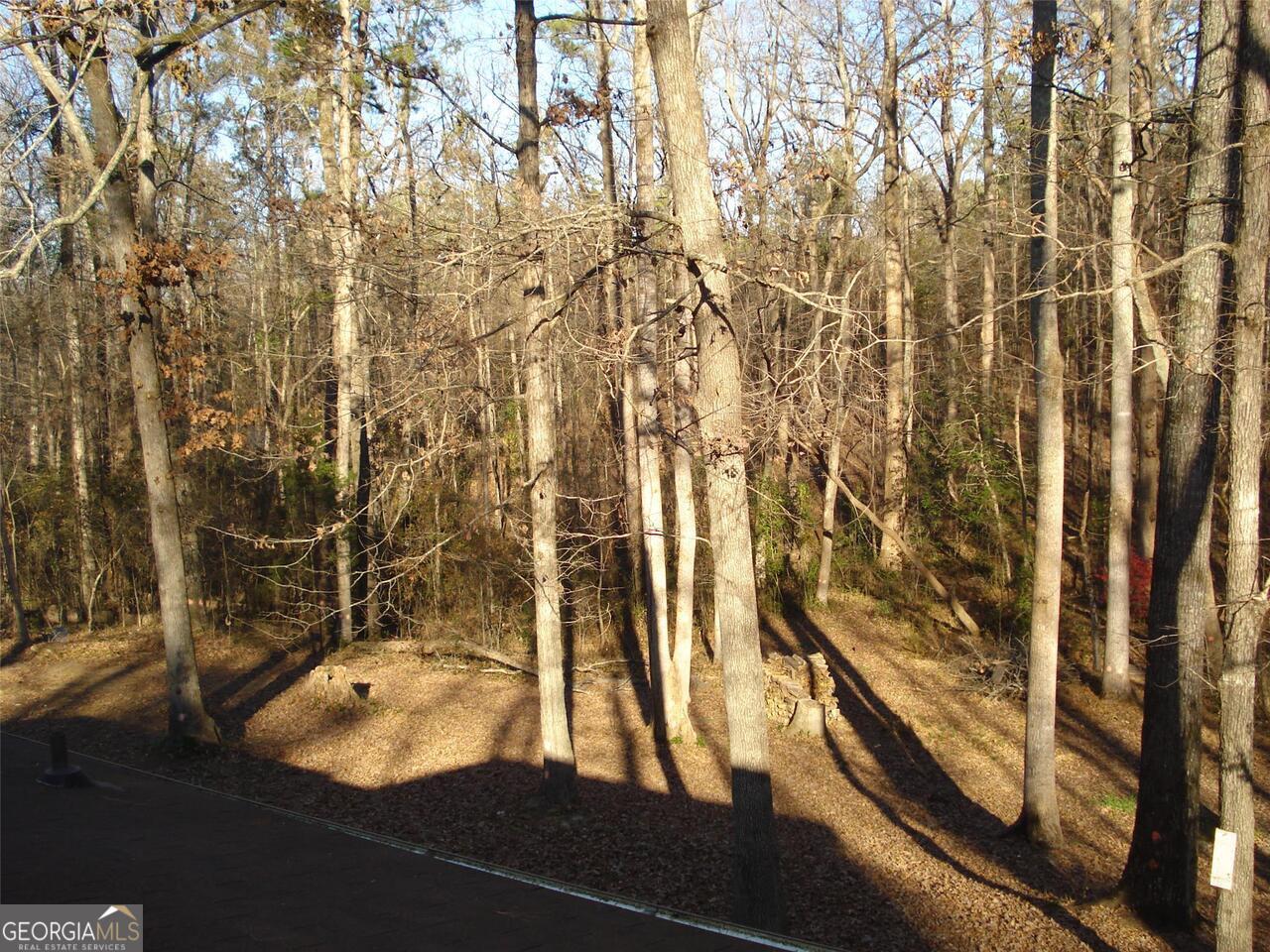Photo #10