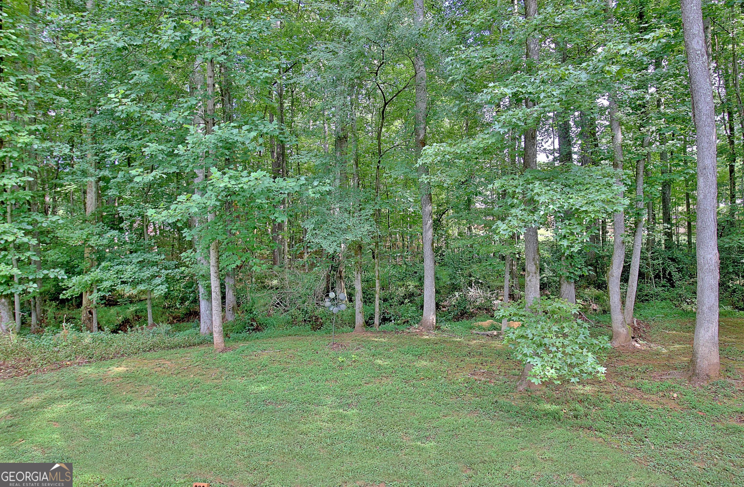 Photo #32