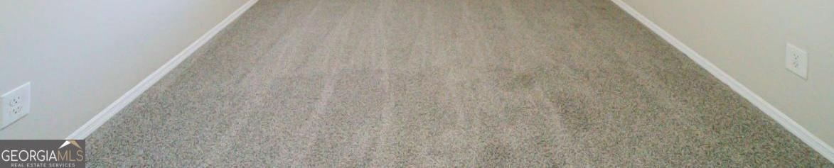 Photo #15