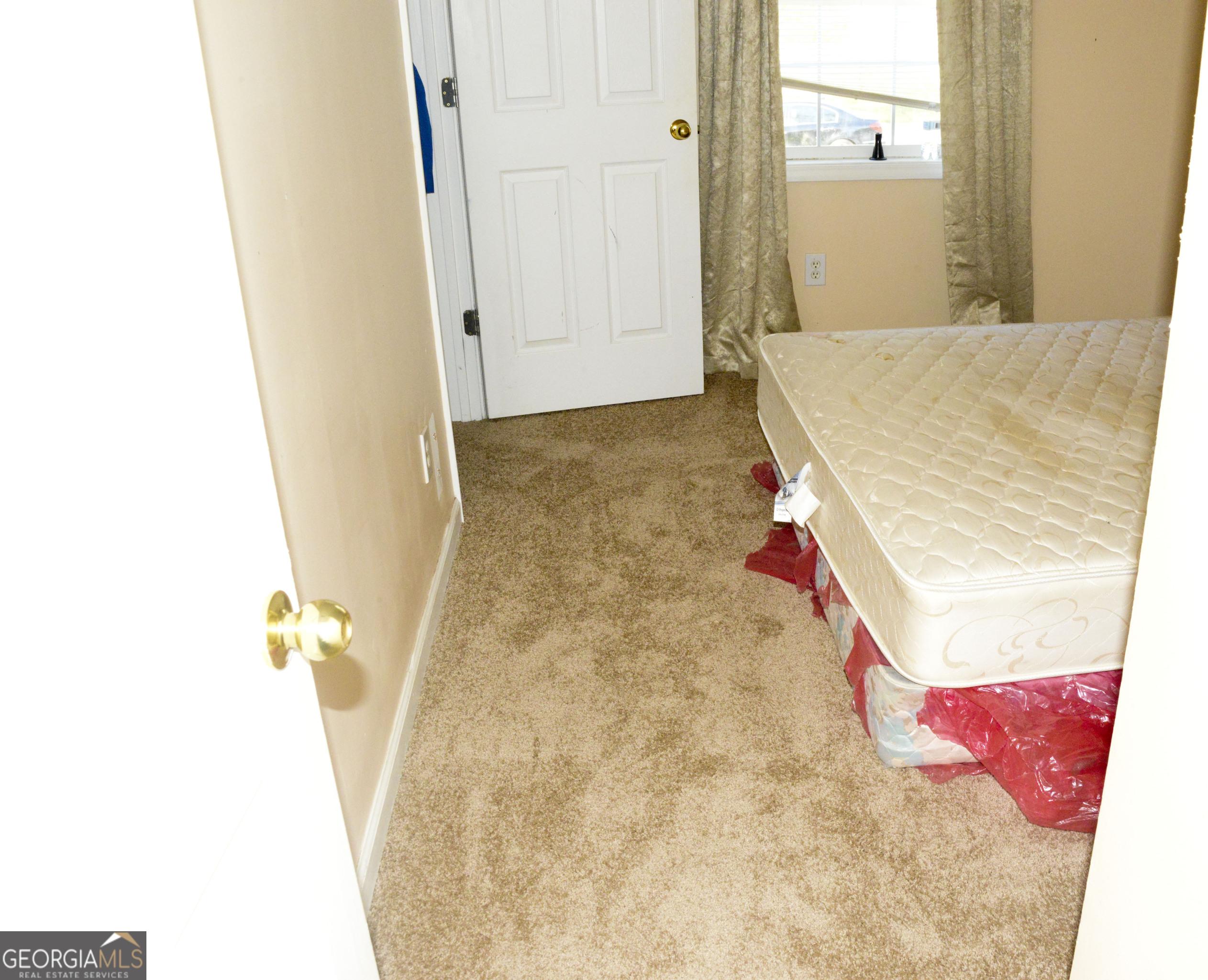 Photo #42