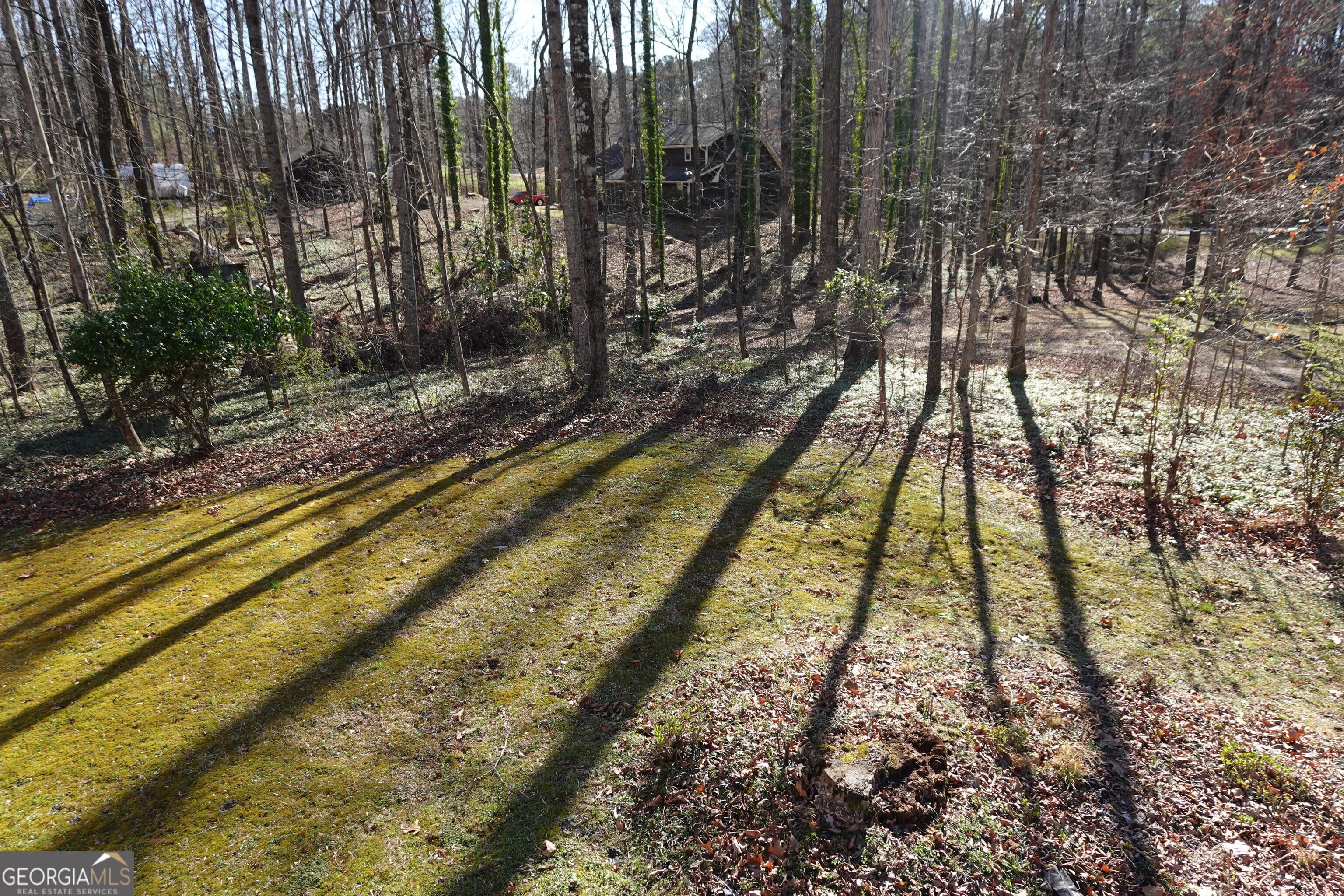 Photo #34