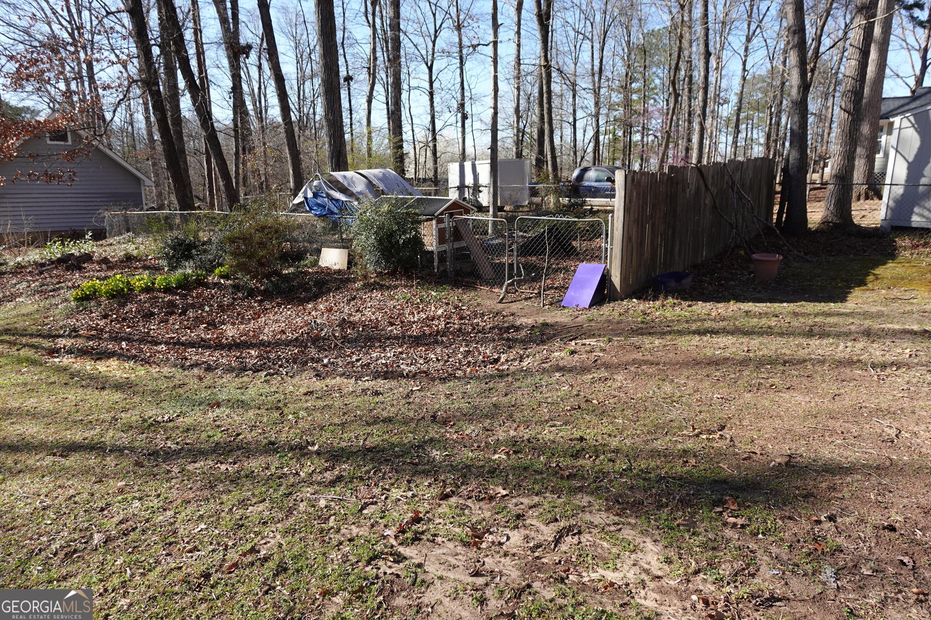 Photo #38