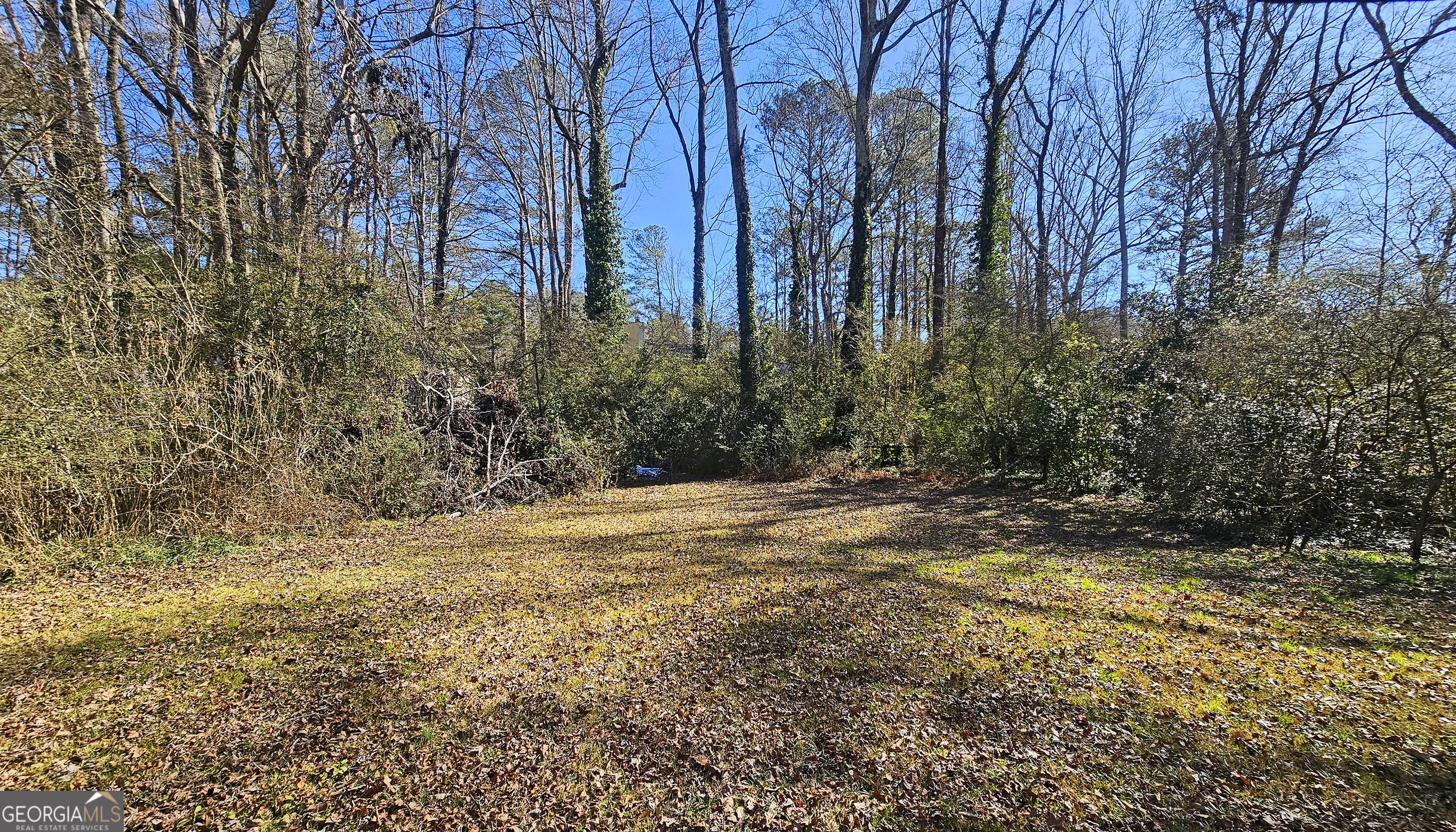 Photo #2