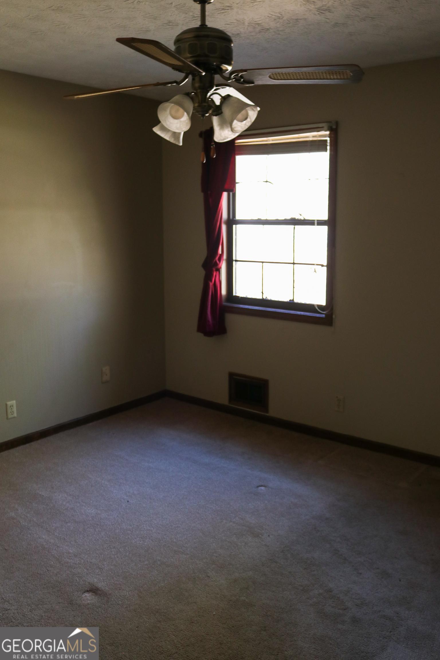 Photo #14