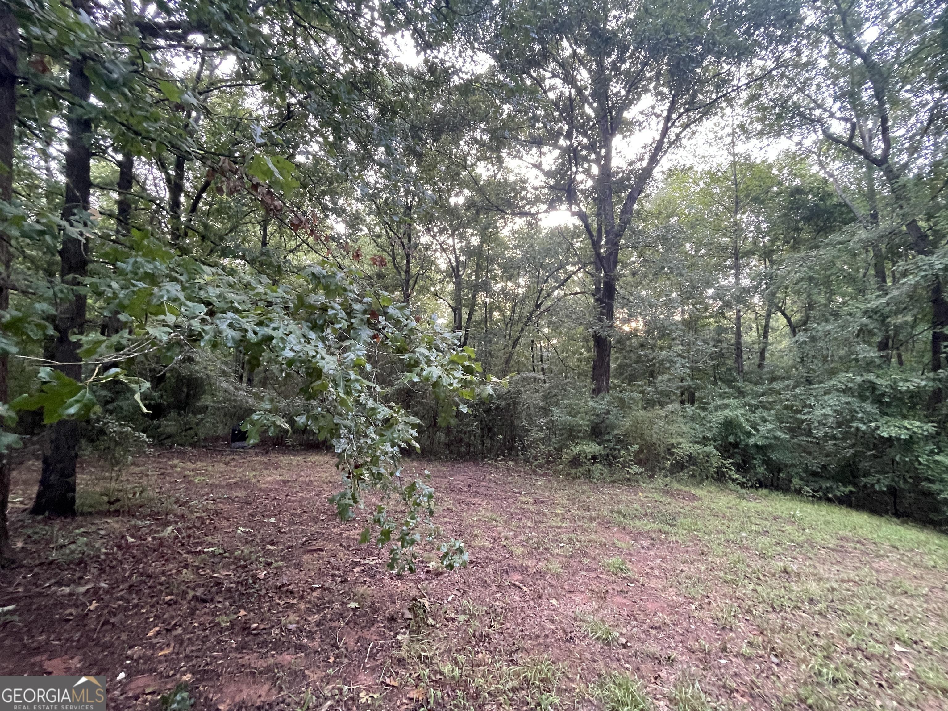 Photo #21