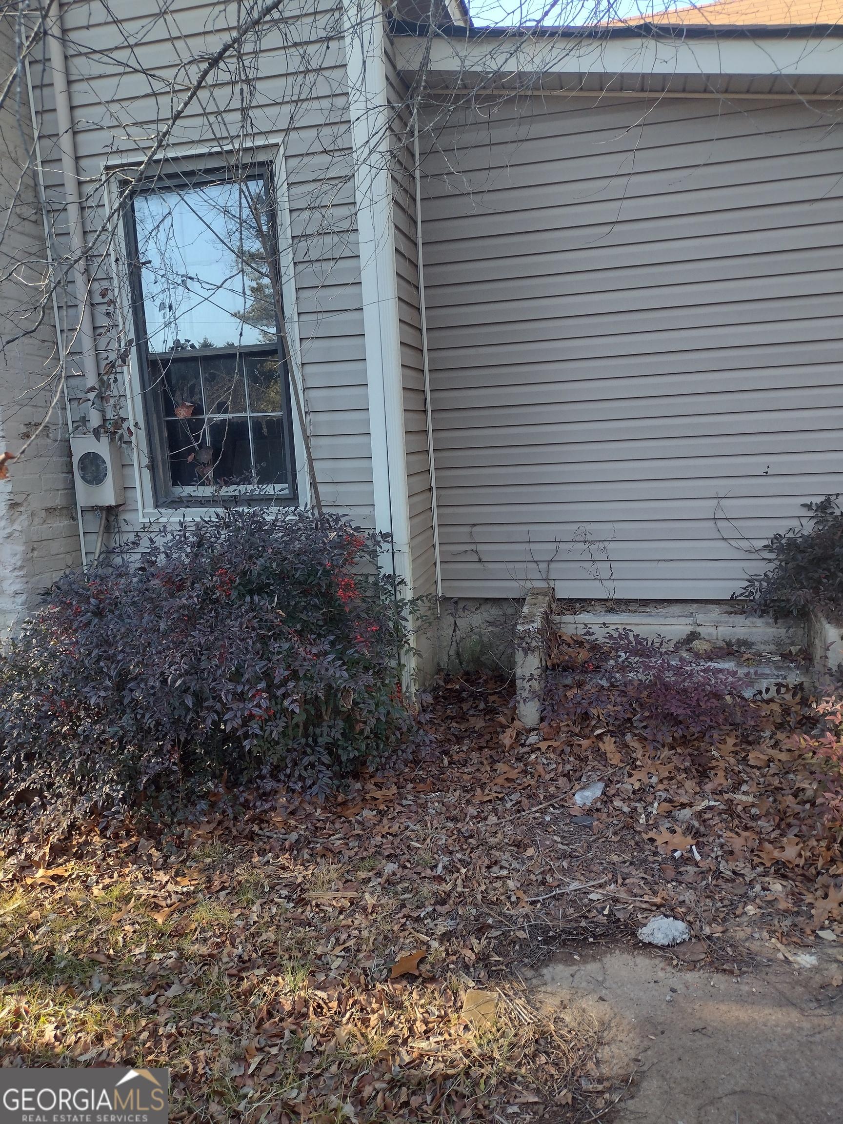 Photo #3