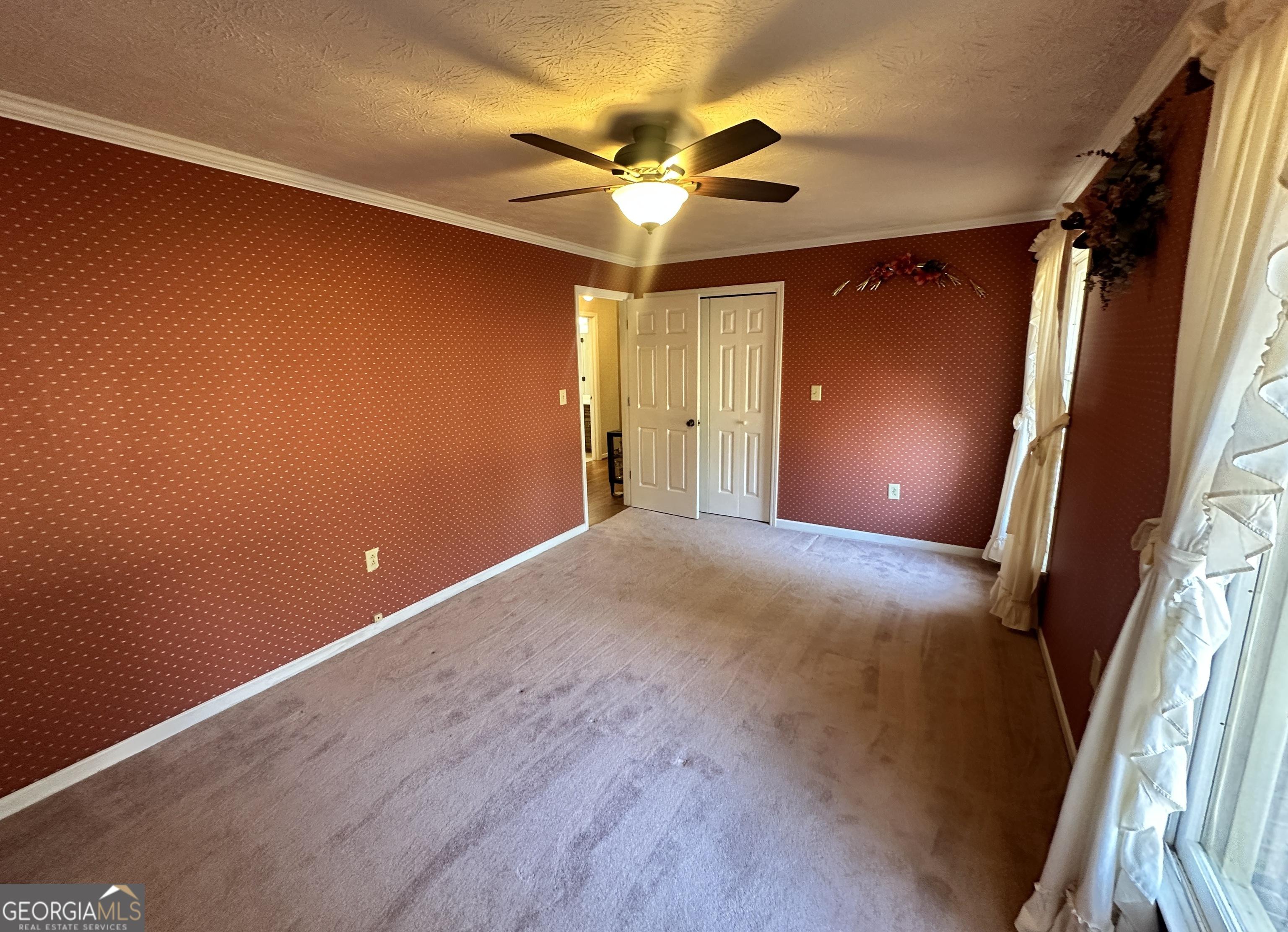 Photo #31