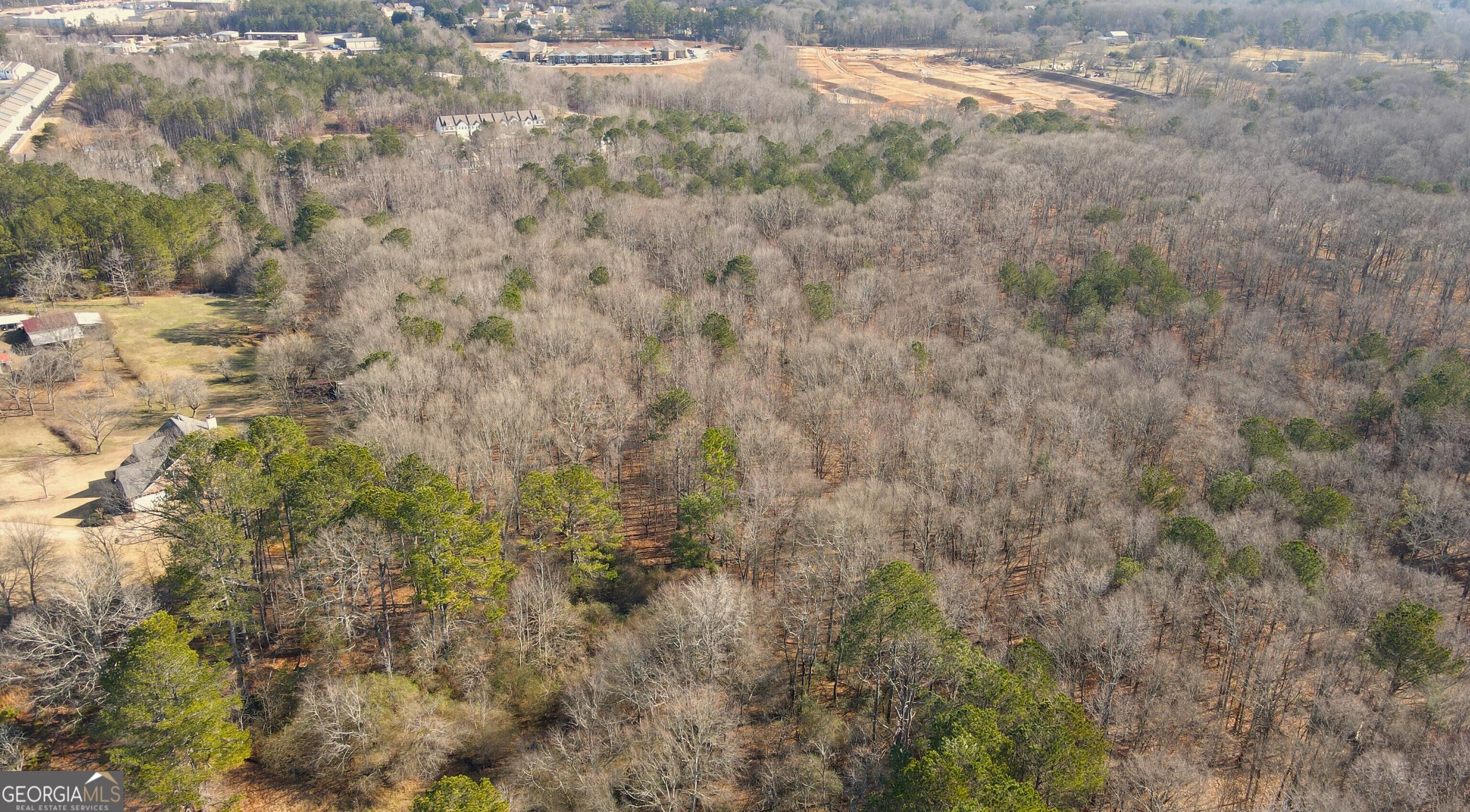 Photo #3
