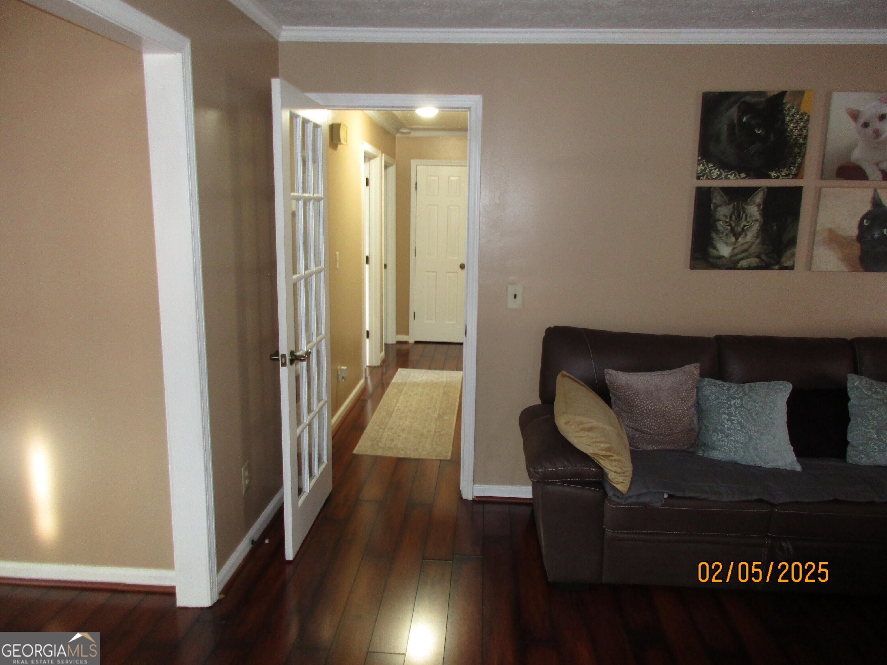 Photo #12