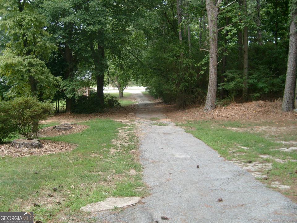 Photo #9