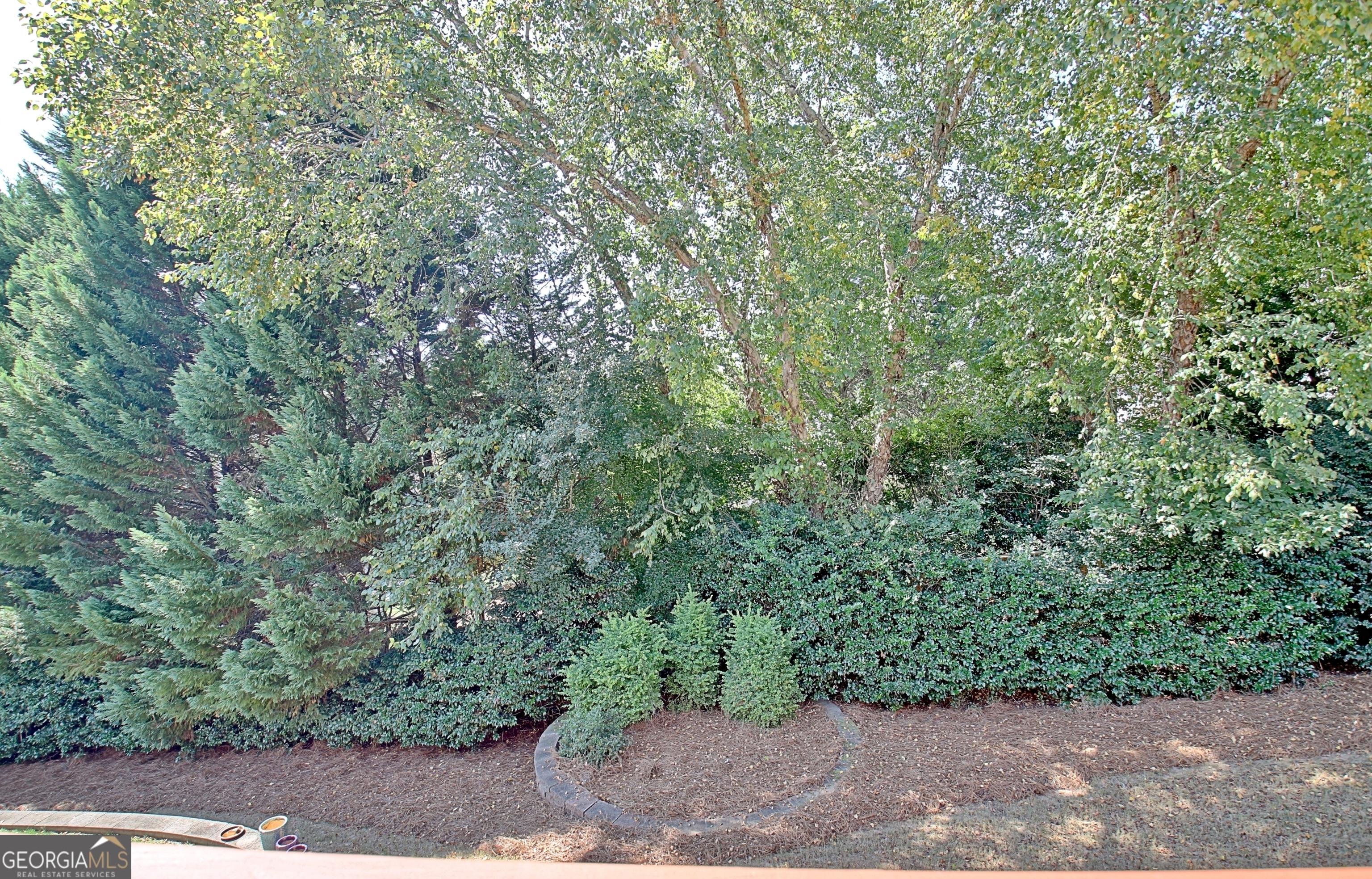 Photo #46