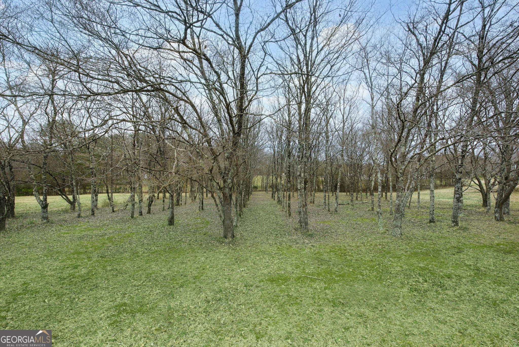 Photo #50