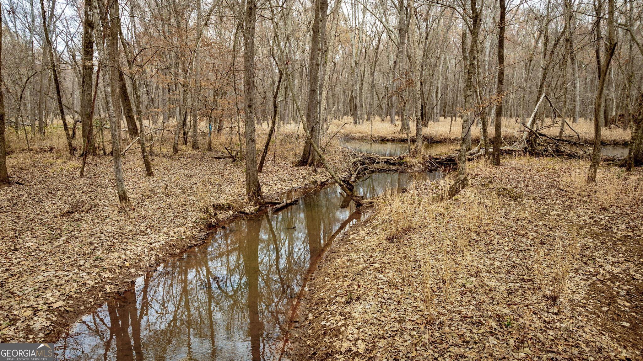 Photo #59