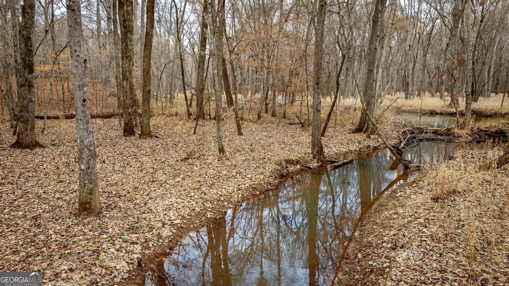 Photo #58