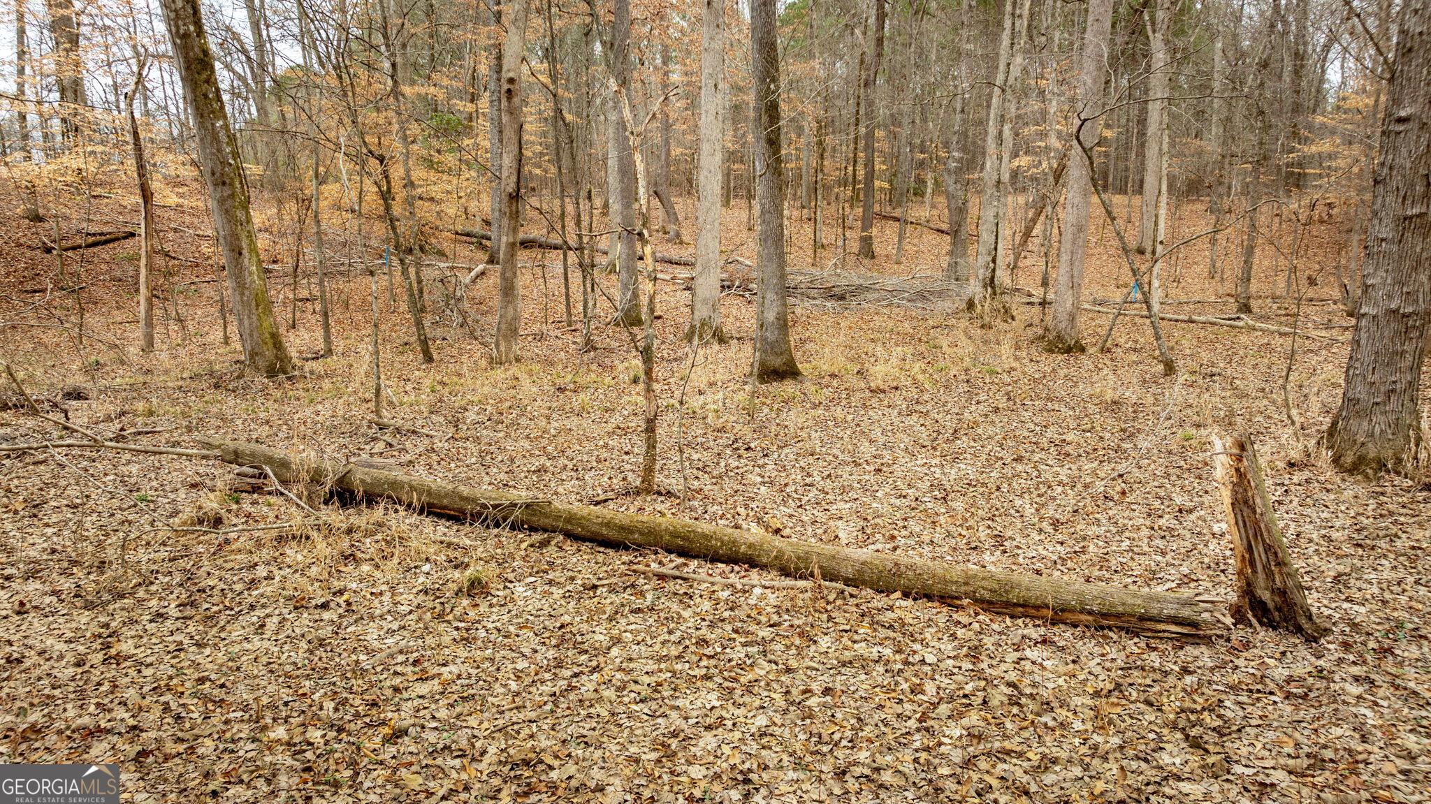 Photo #60