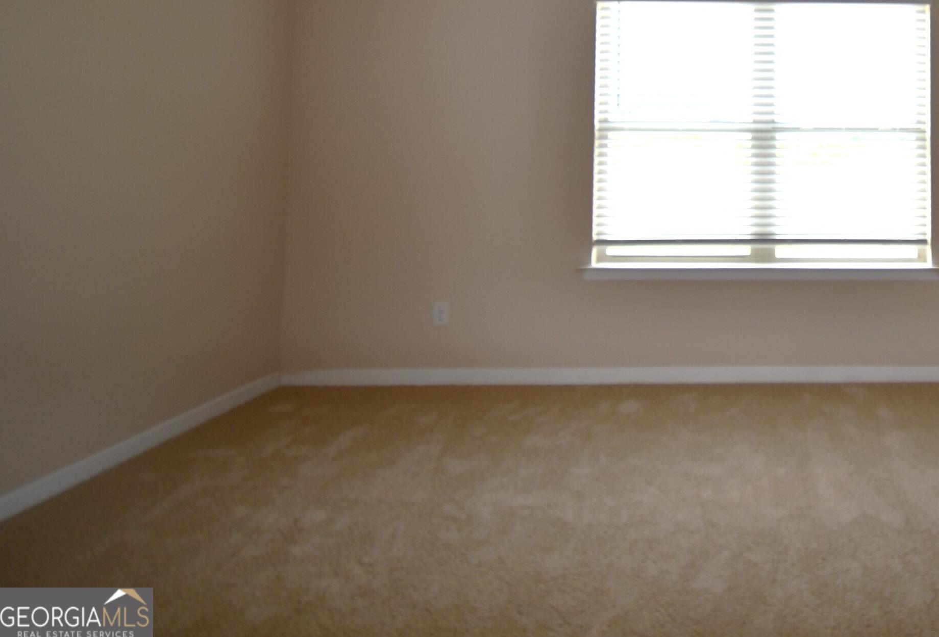 Photo #12
