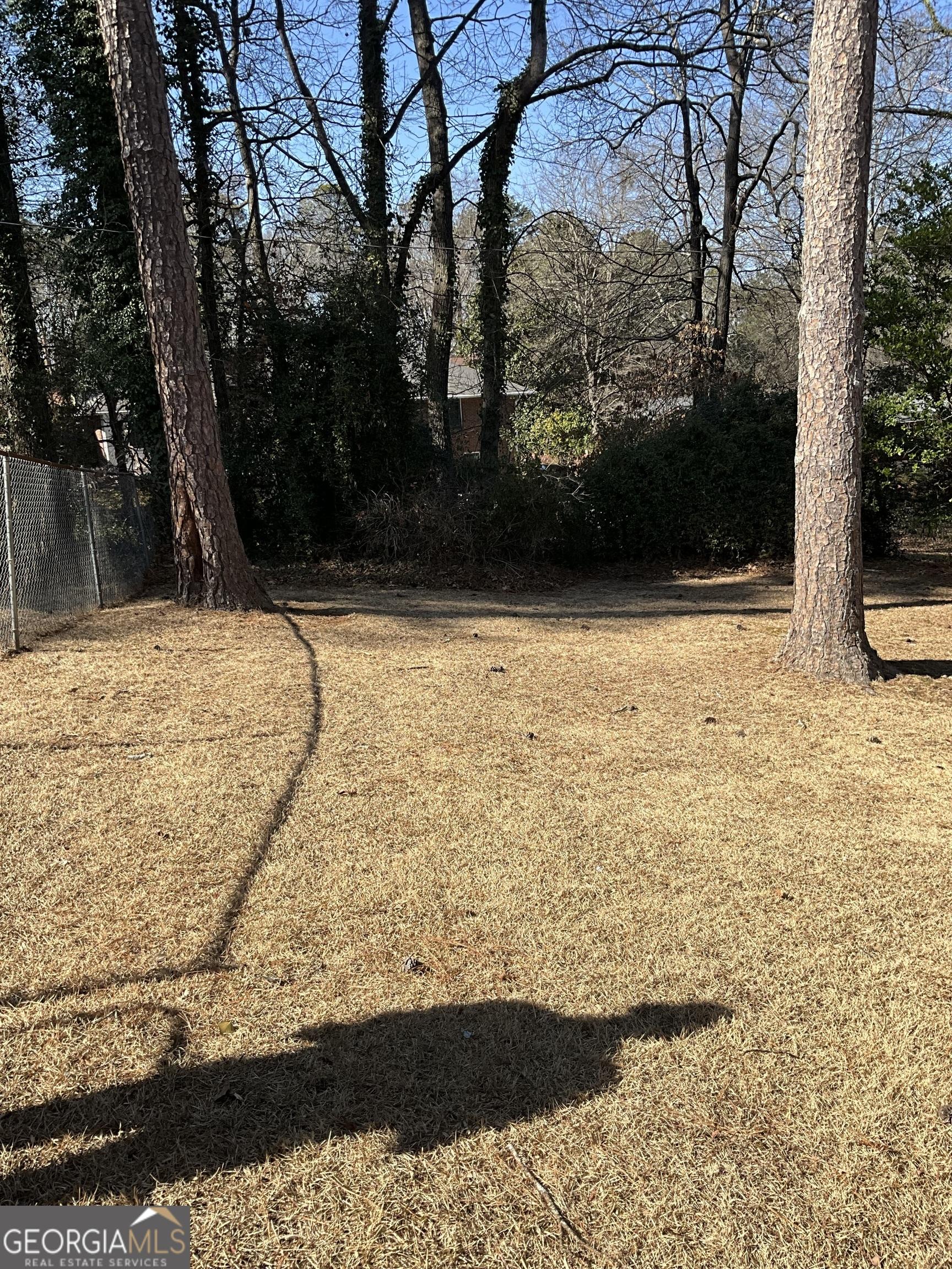 Photo #11