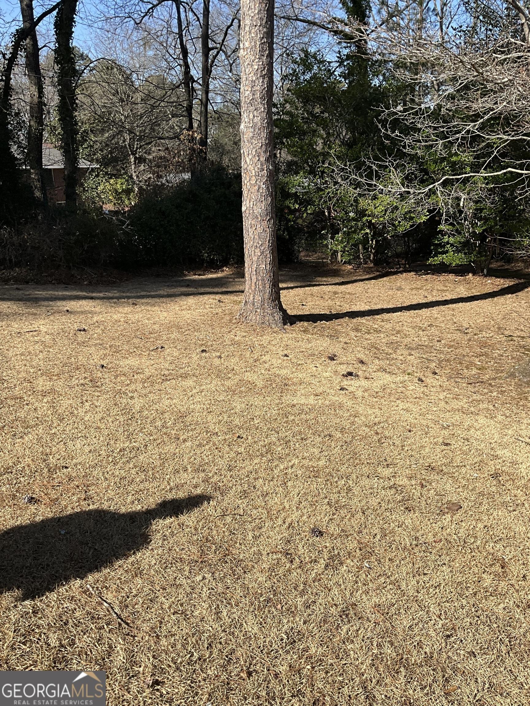 Photo #12