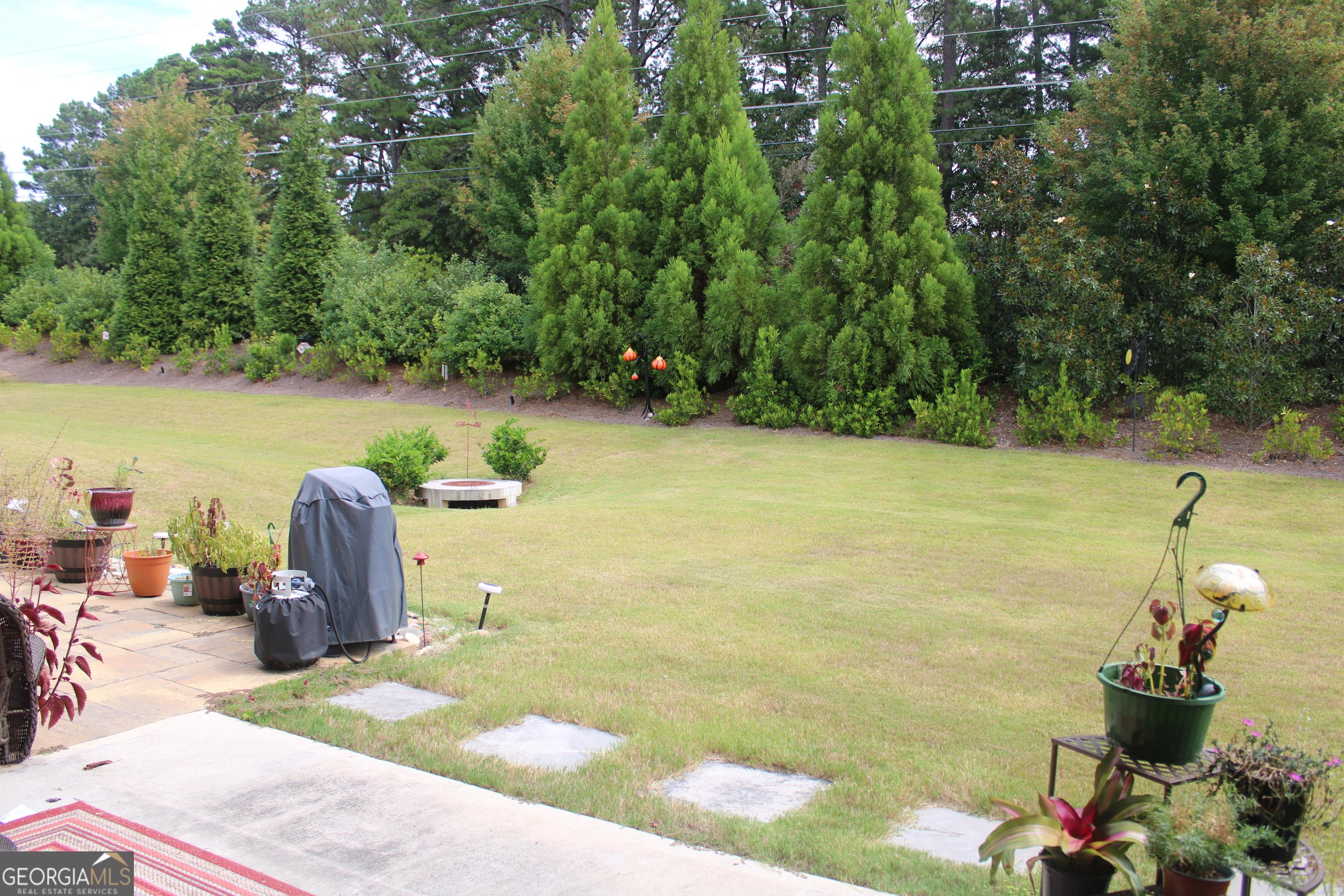 Photo #20