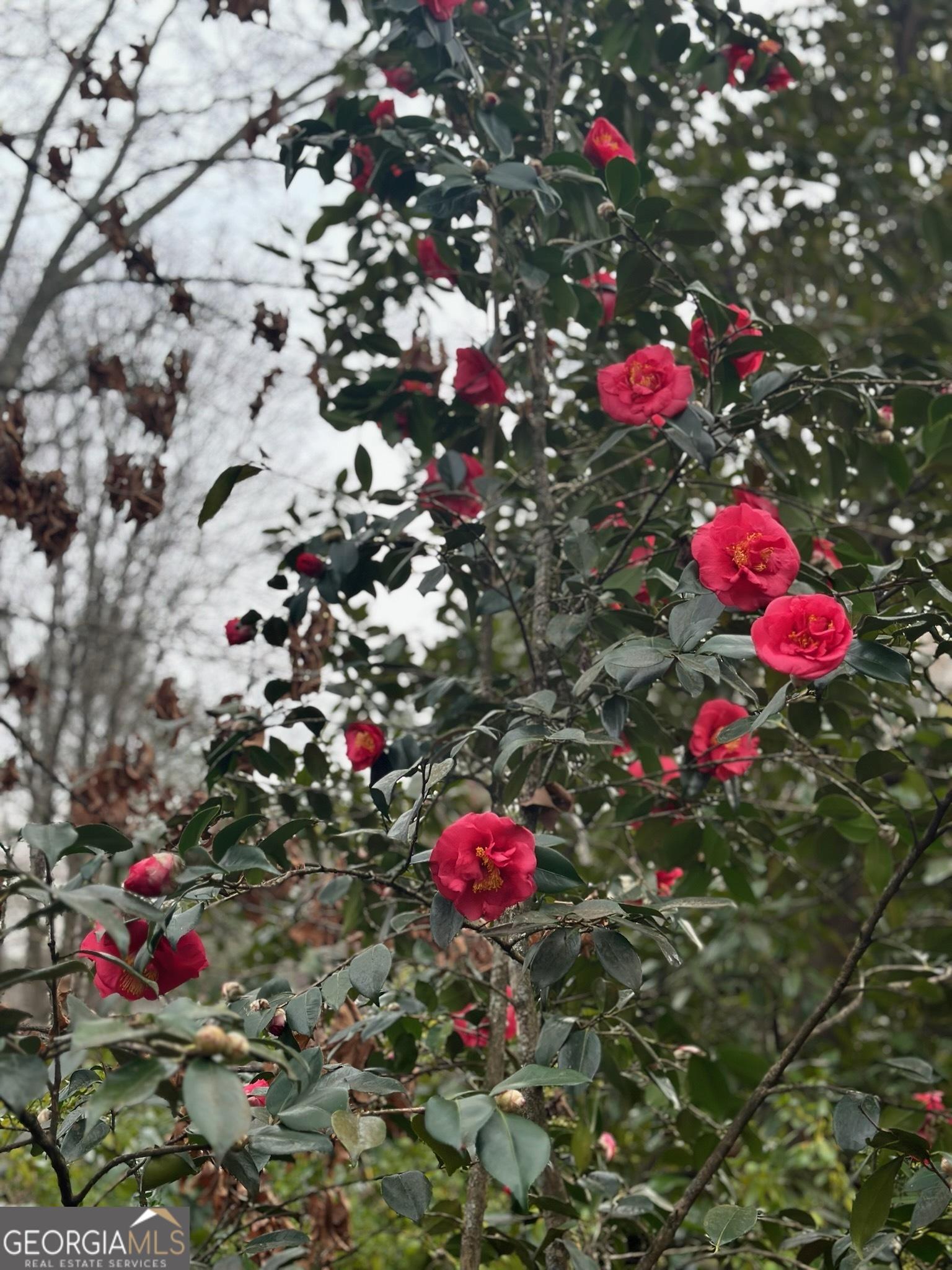 Photo #55
