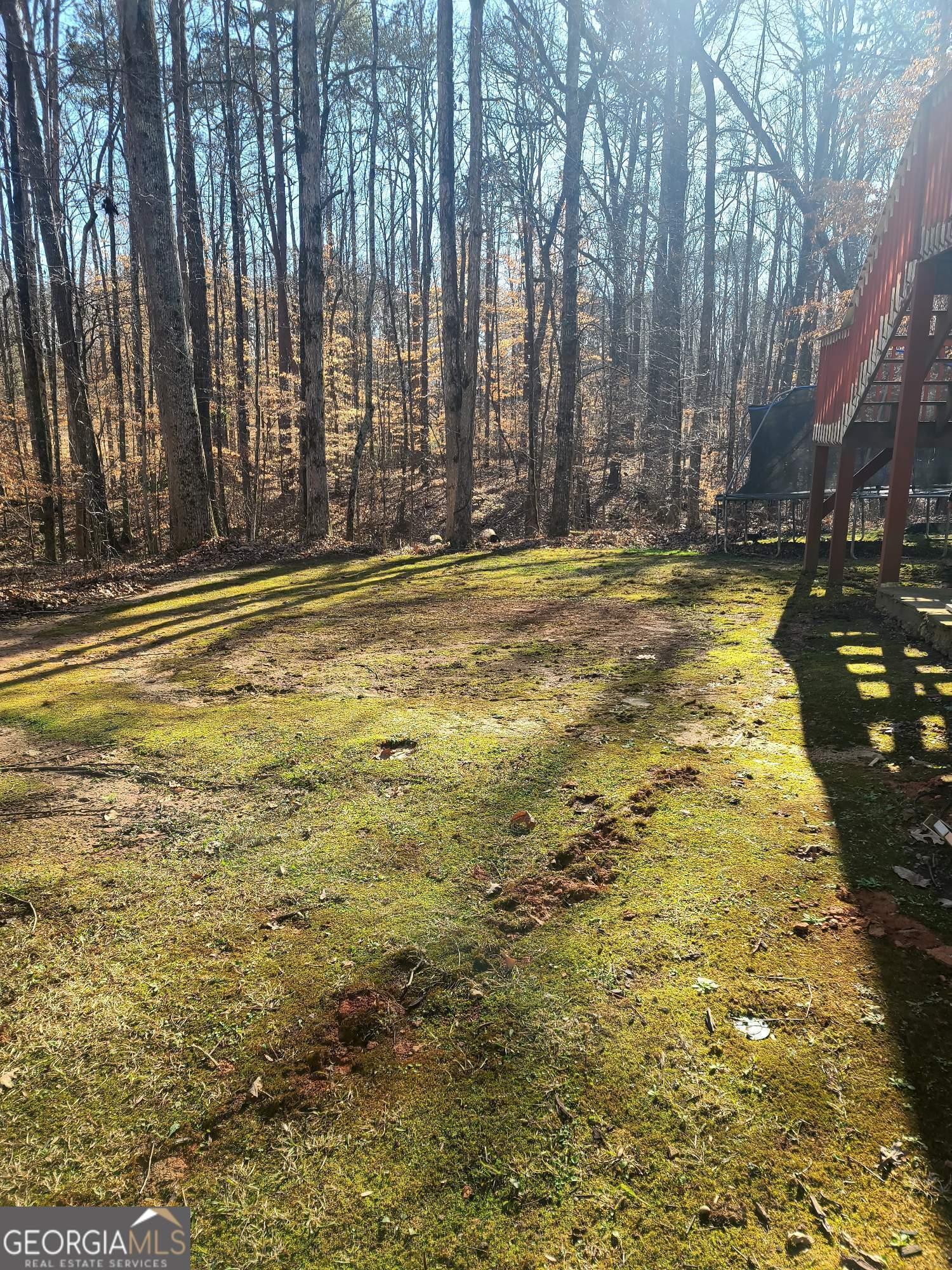 Photo #52
