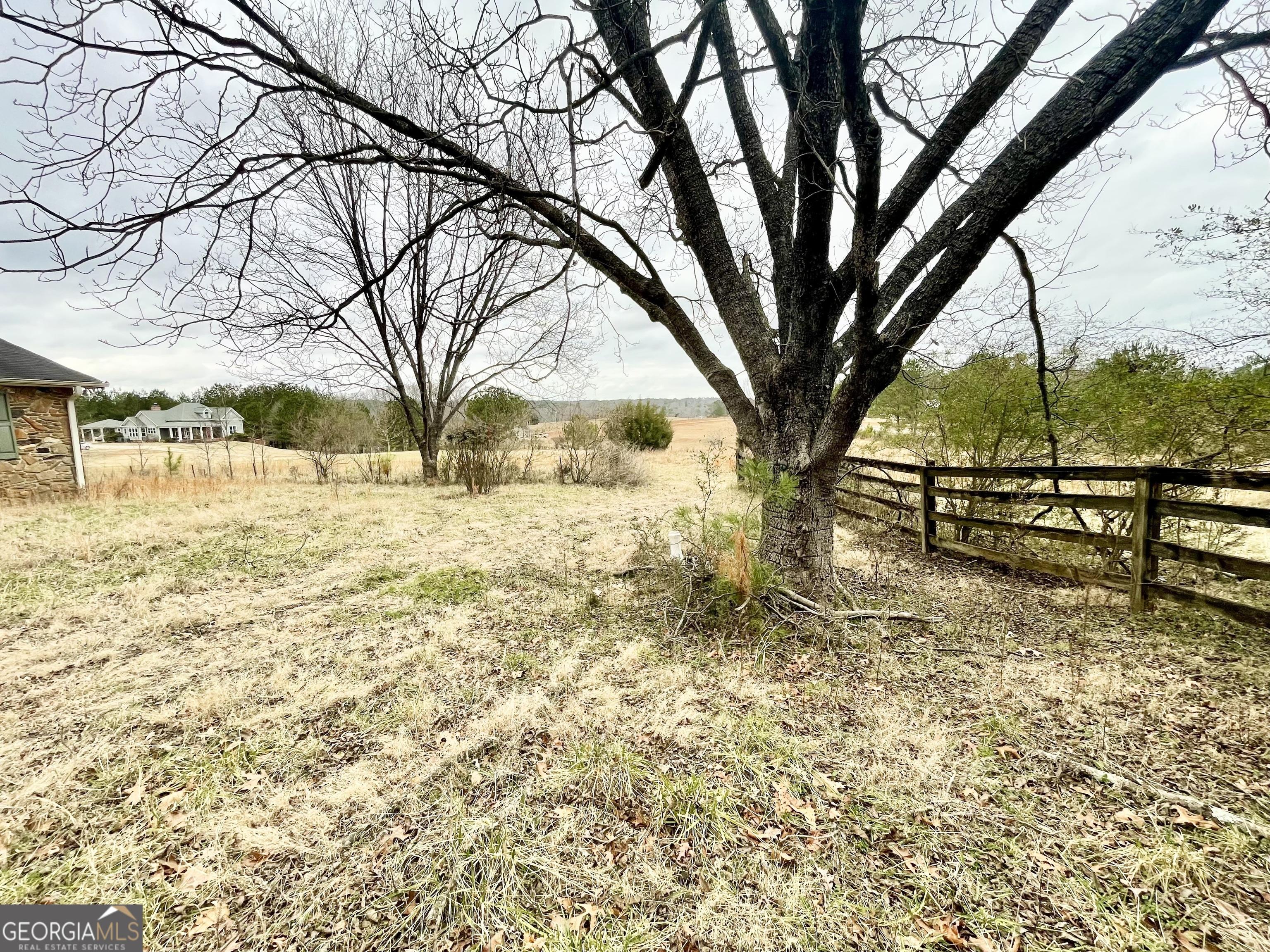 Photo #4