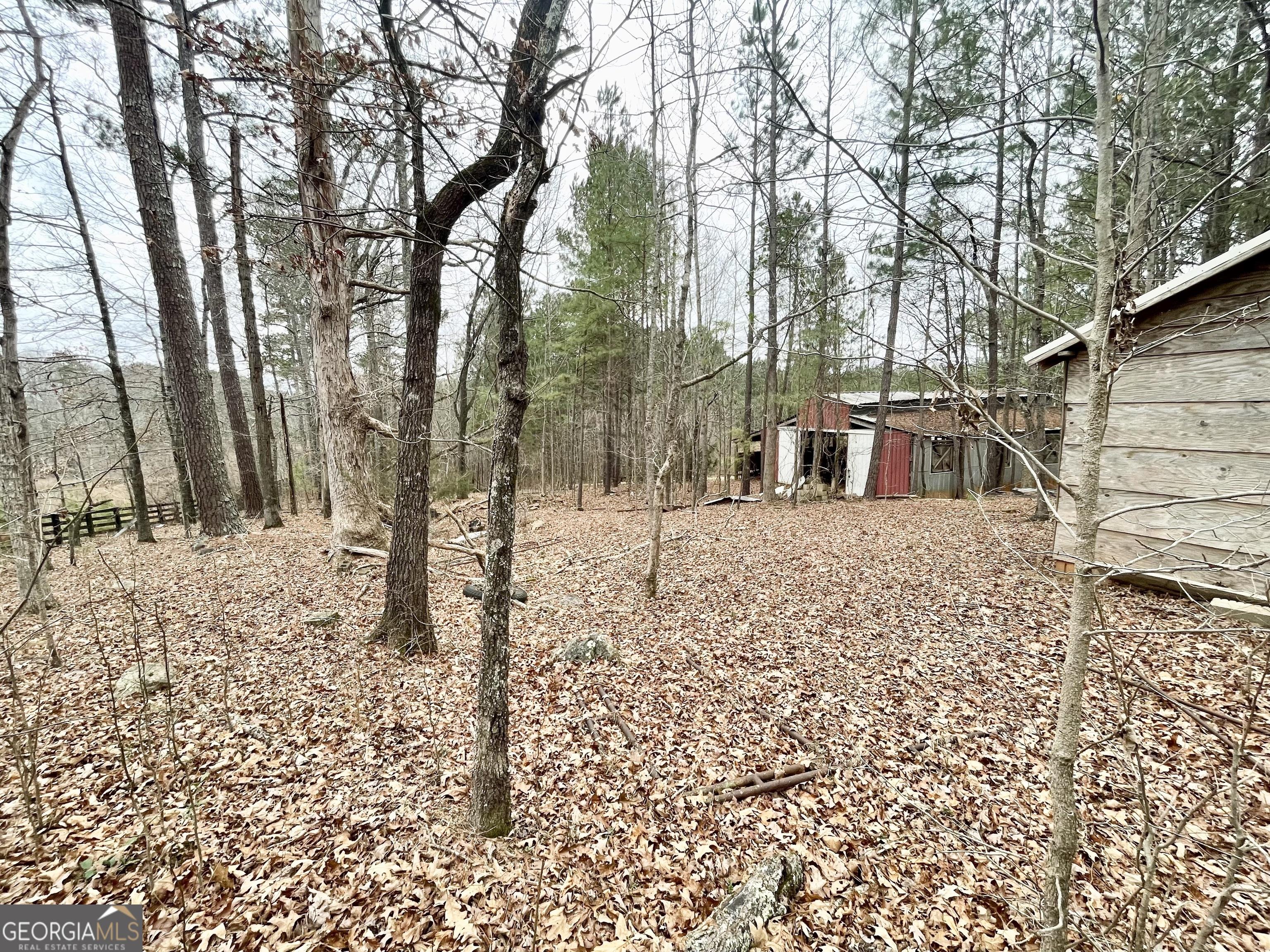 Photo #5
