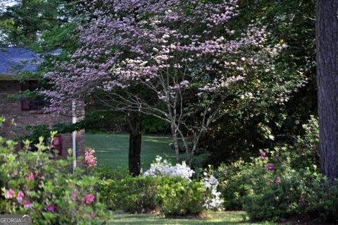 Photo #42