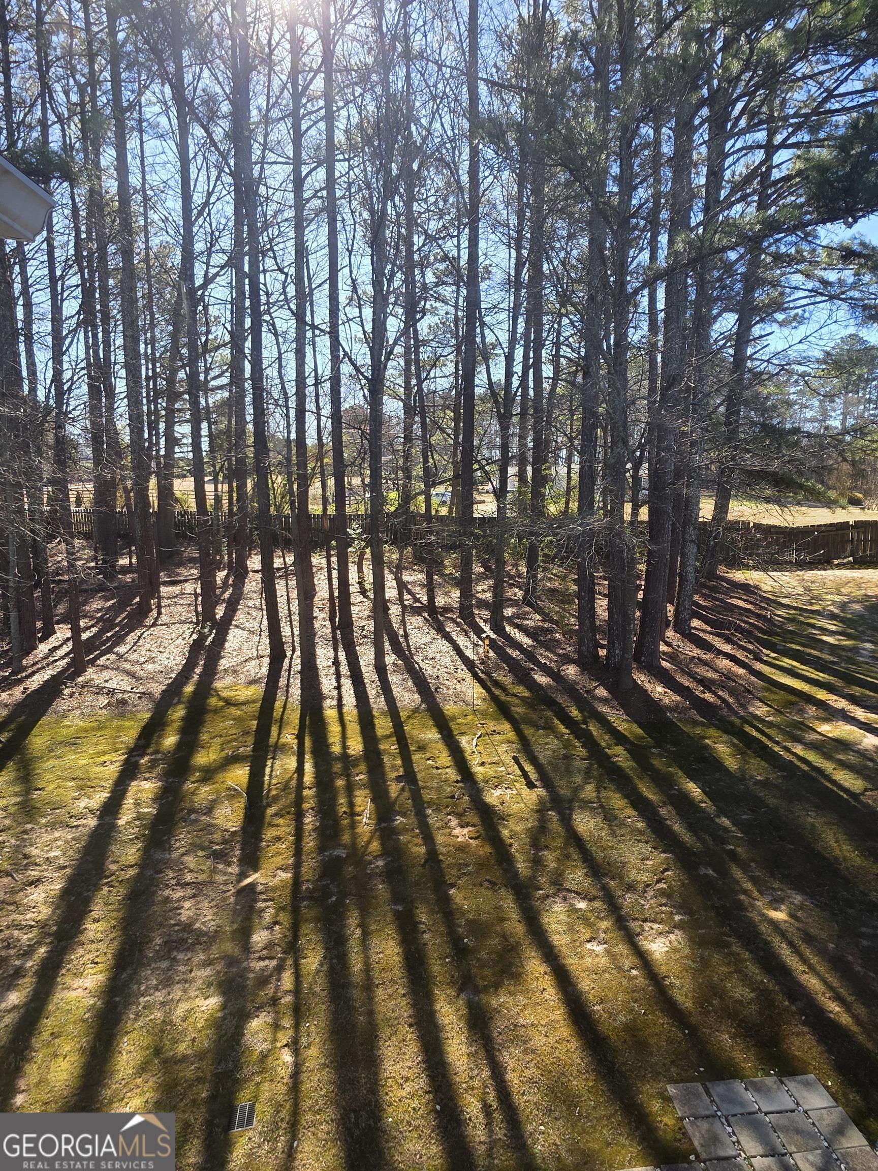 Photo #39