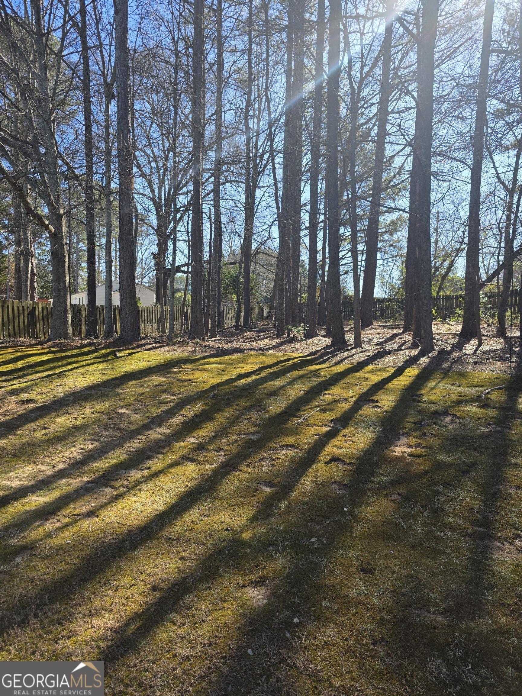 Photo #42