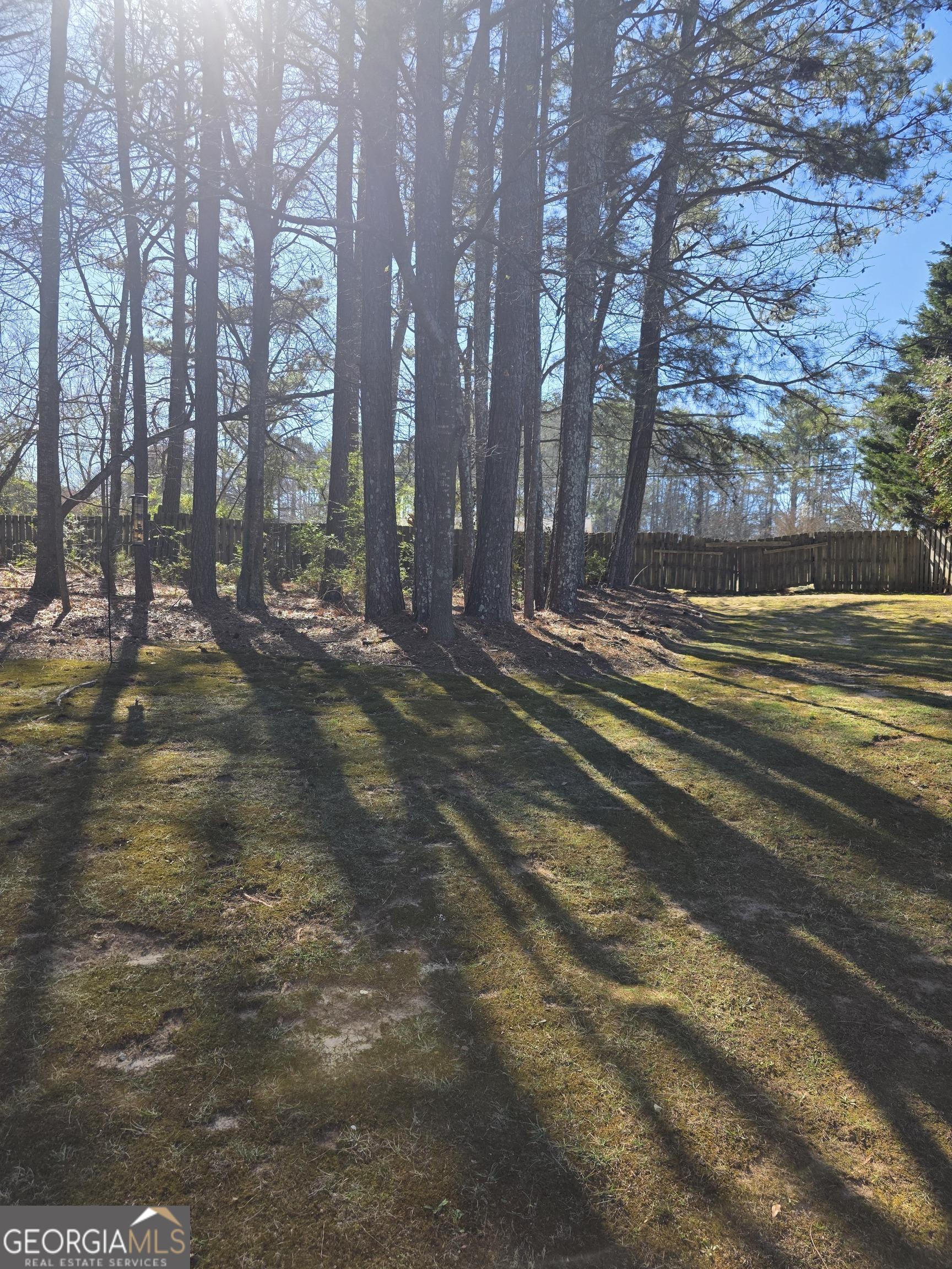 Photo #41
