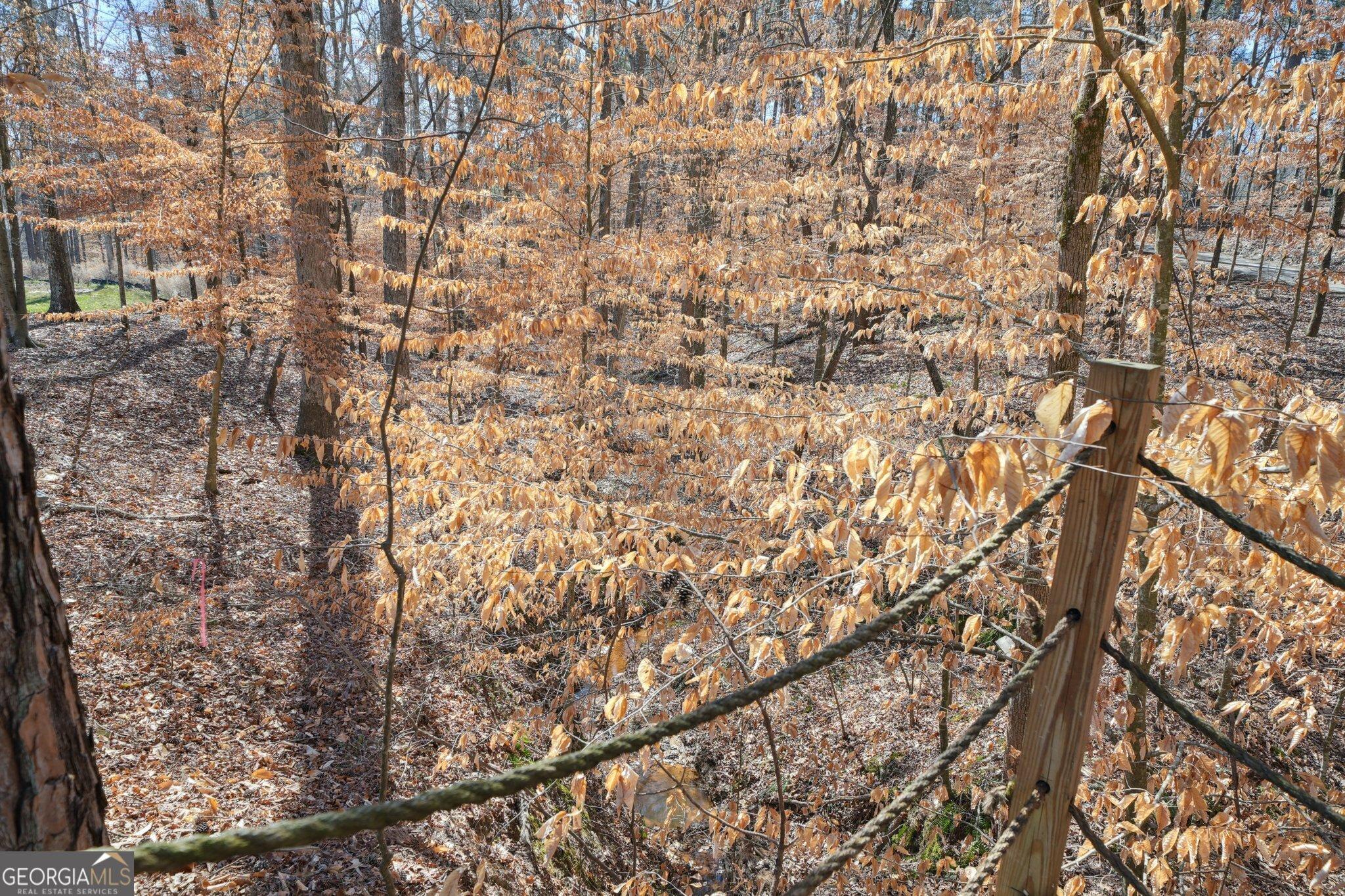 Photo #32