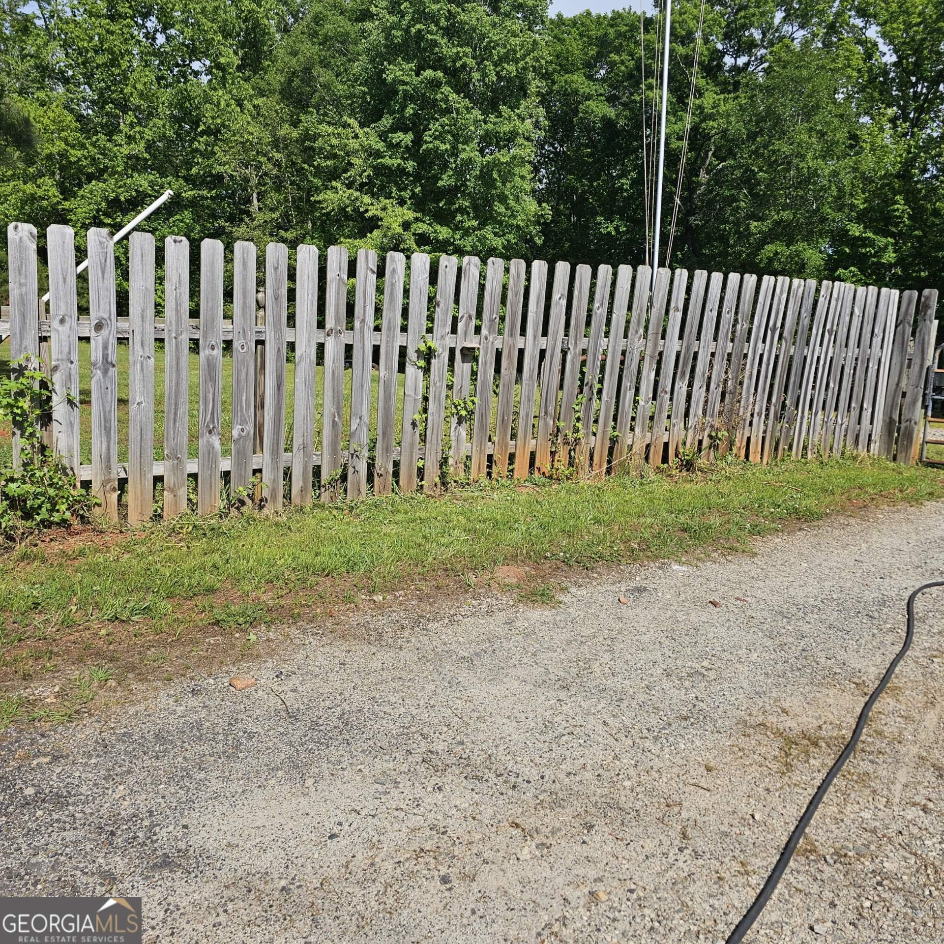 Photo #49